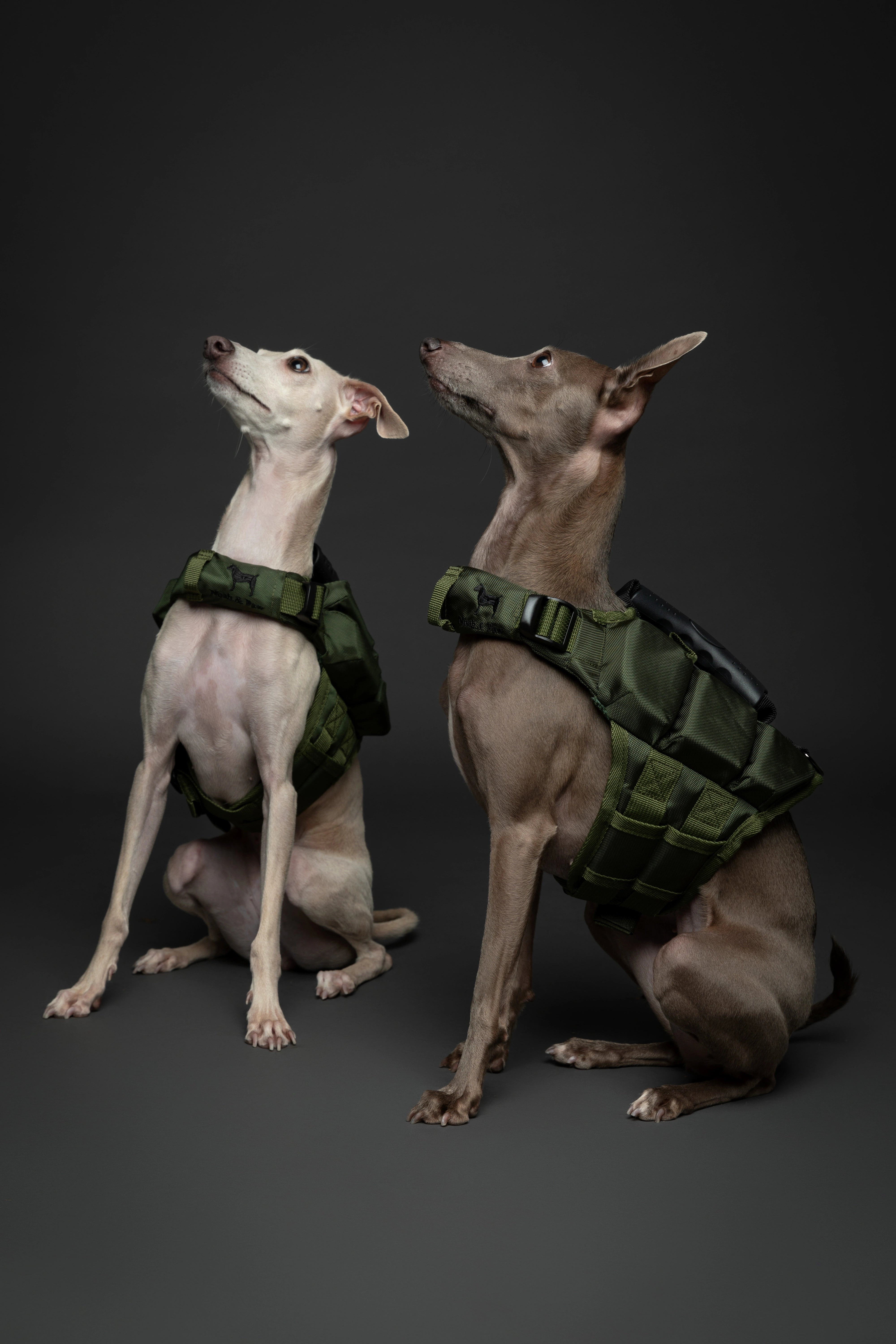 Dog Life Jacket Green x3 cubes foam XS