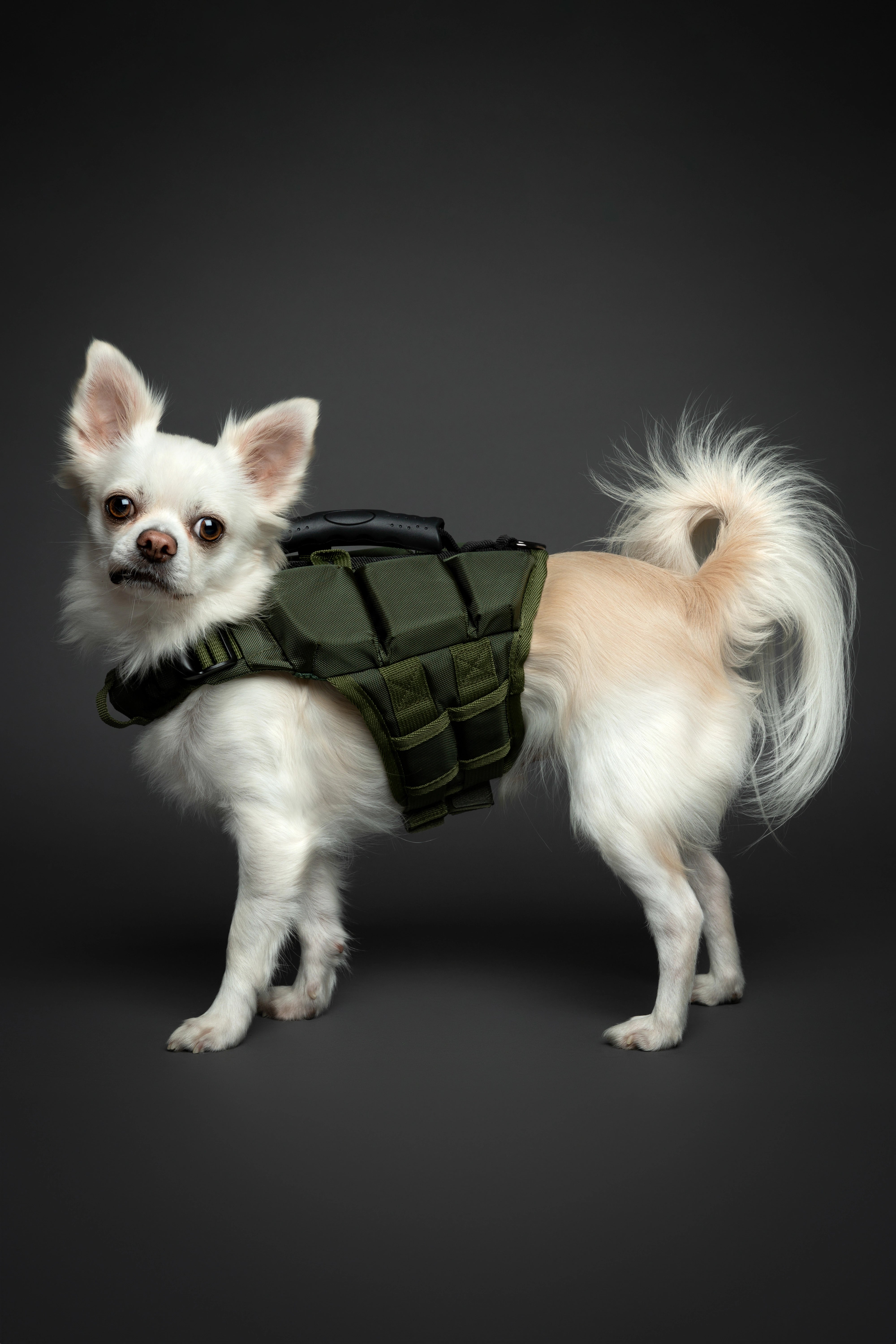 Dog Life Jacket Green x3 cubes foam XS
