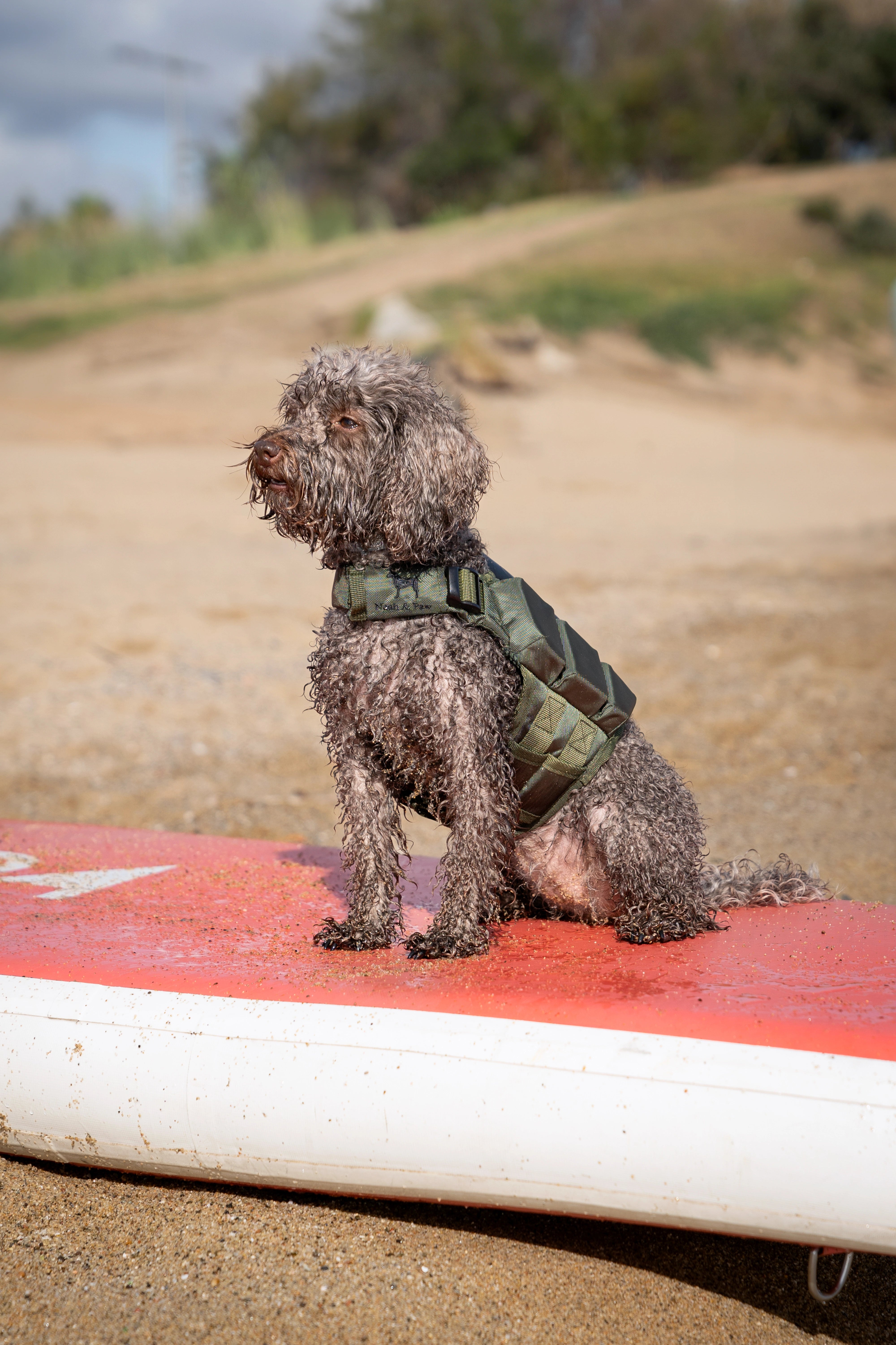 Dog Life Jacket Green x3 cubes foam XS