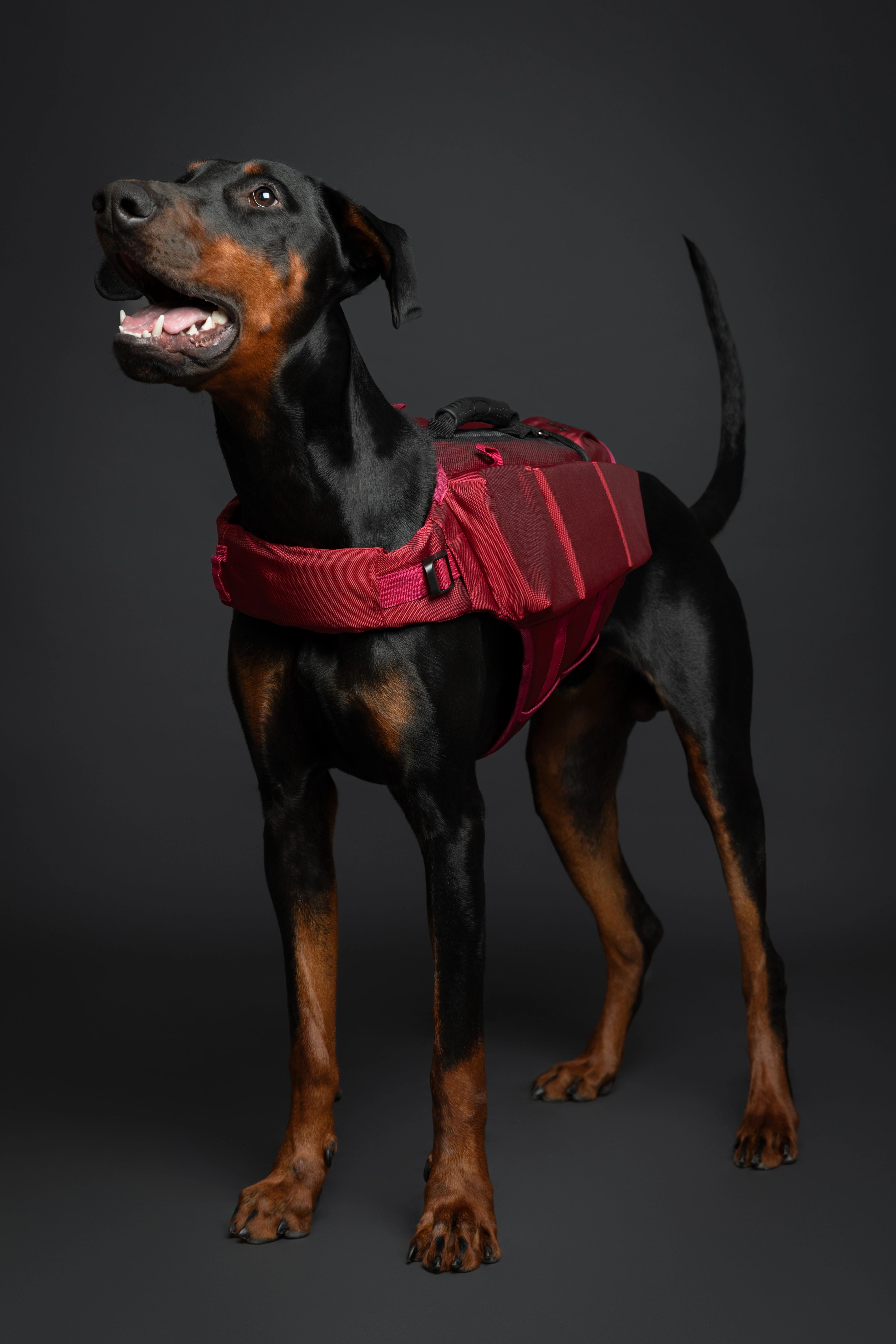 Dog Life Jacket Red x3 cubes foam L