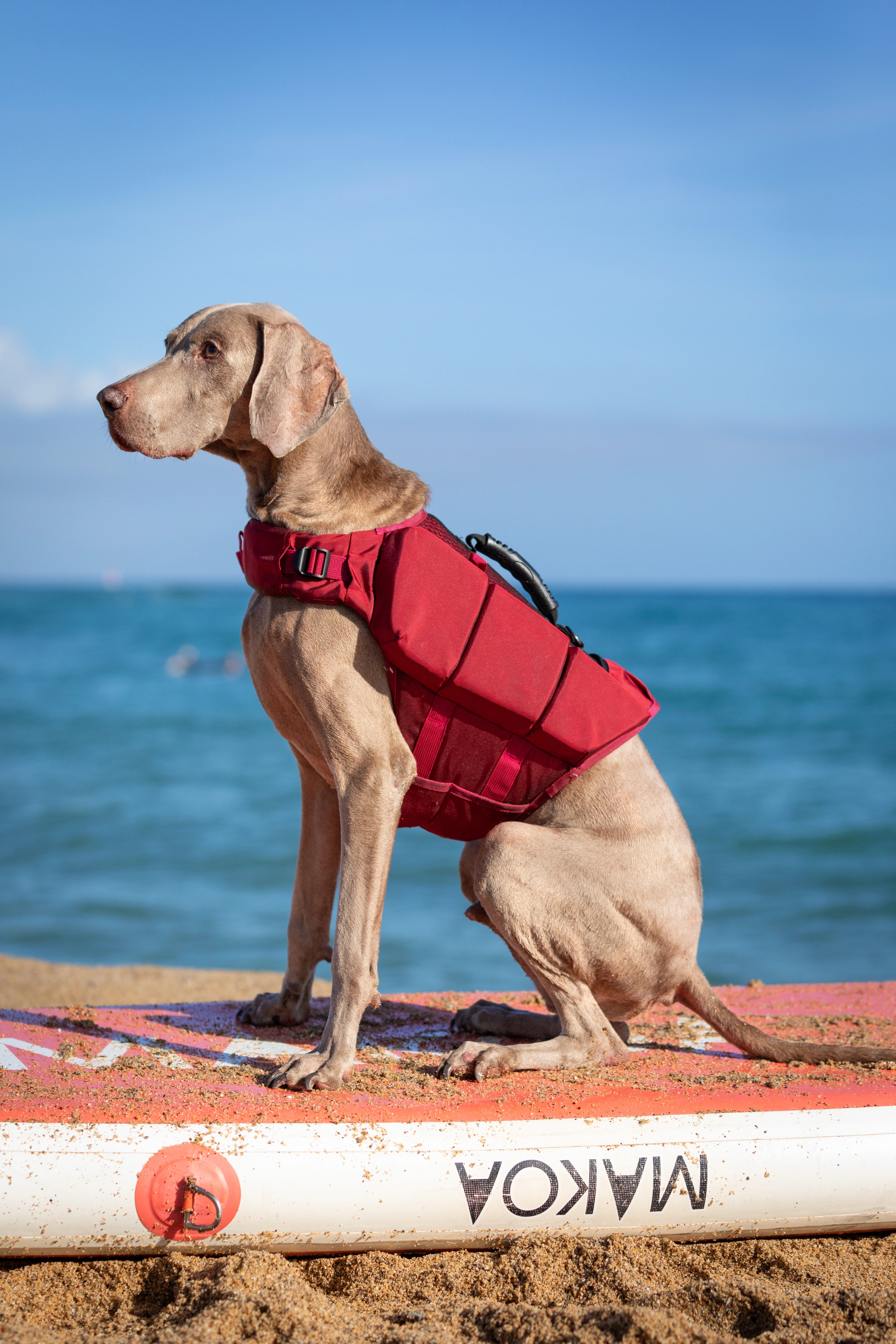 Dog Life Jacket Red x3 cubes foam L