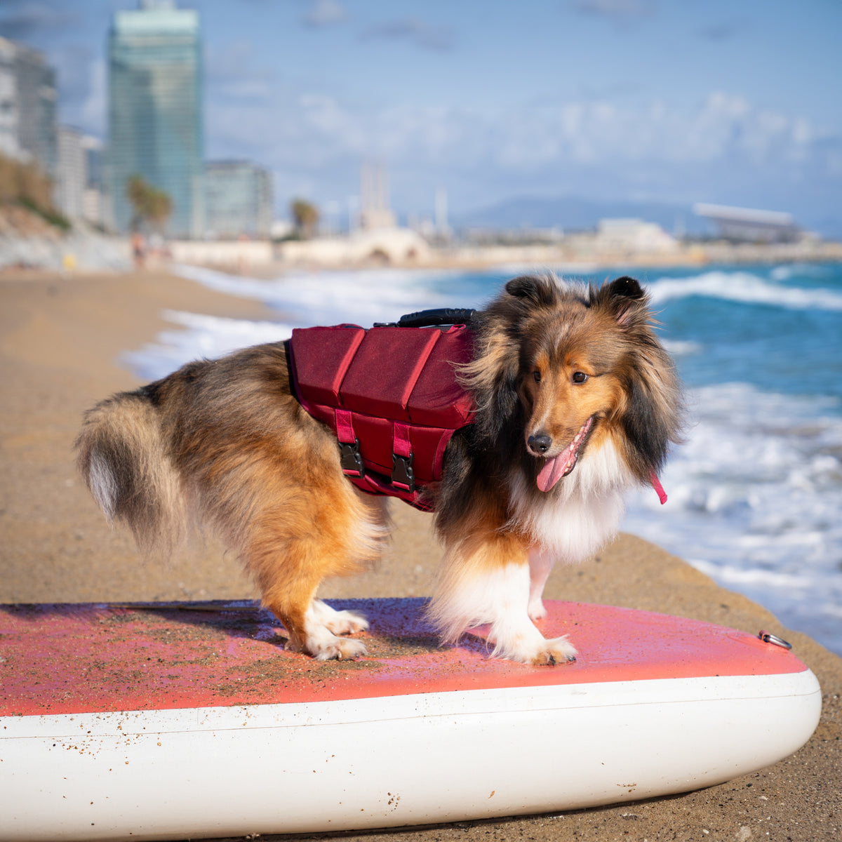 Human Standards Dog Lifejacket Design with 3x Foam for Maxim - LJ3-RE-M