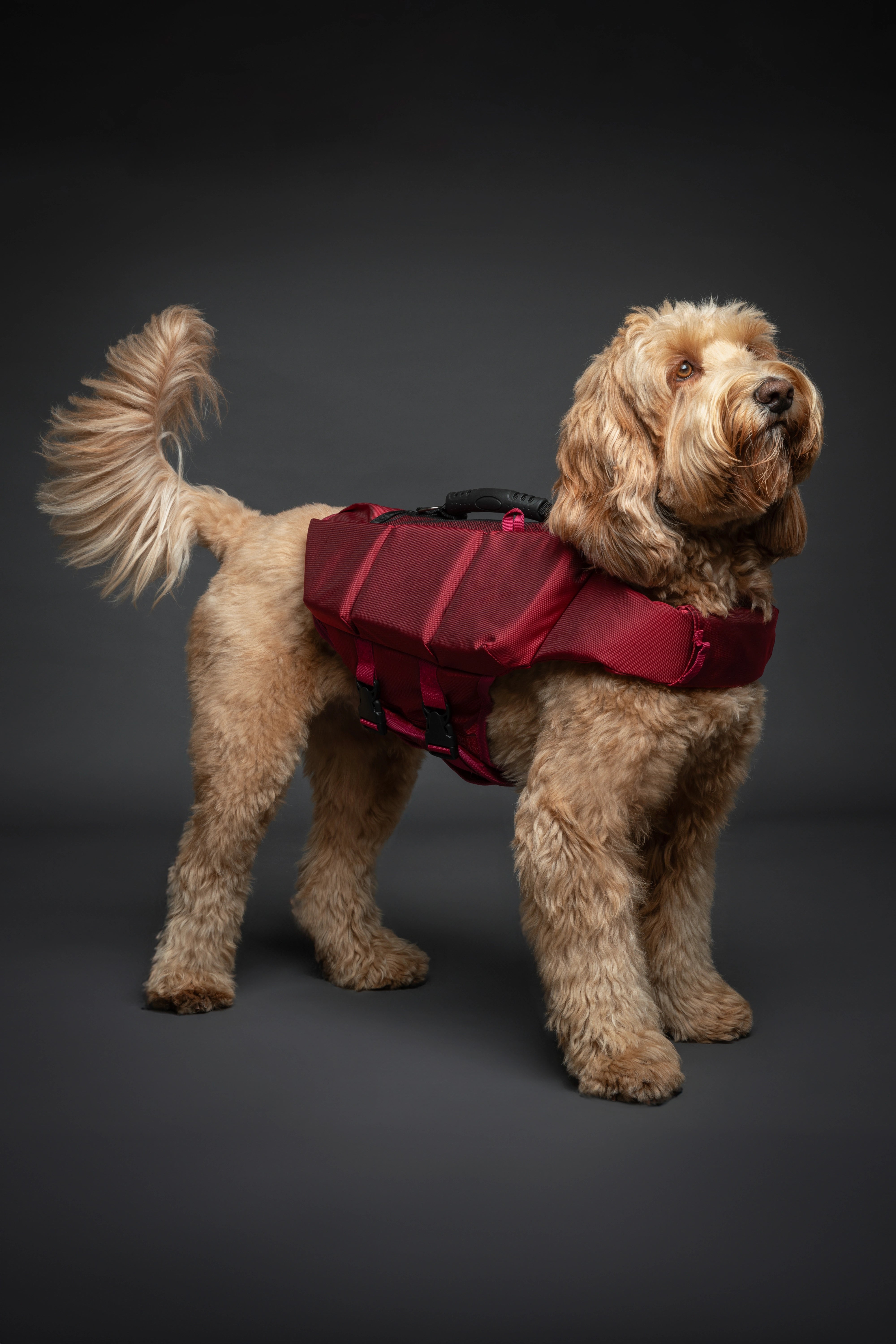 Dog Life Jacket Red x3 cubes foam M