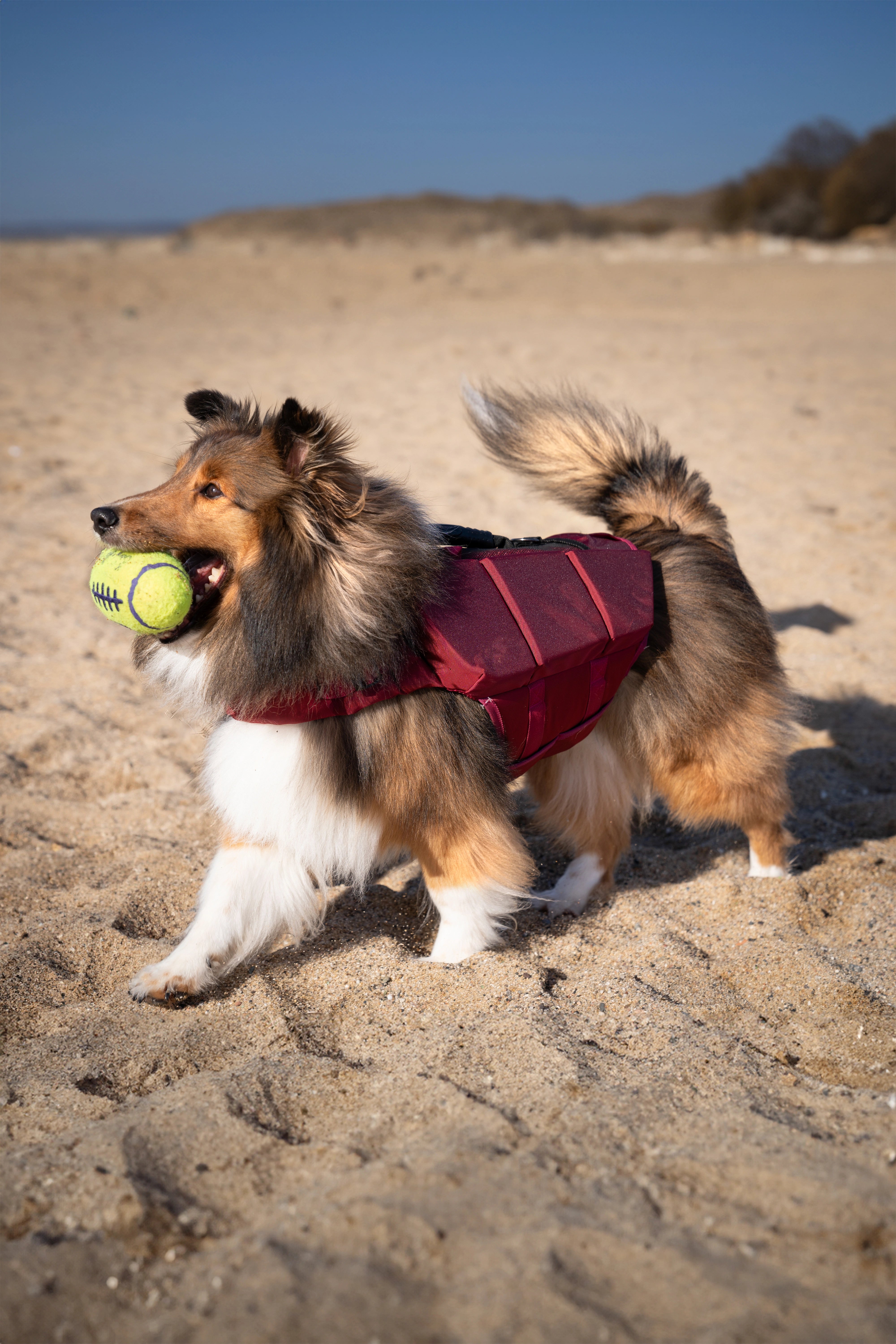 Dog Life Jacket Red x3 cubes foam M