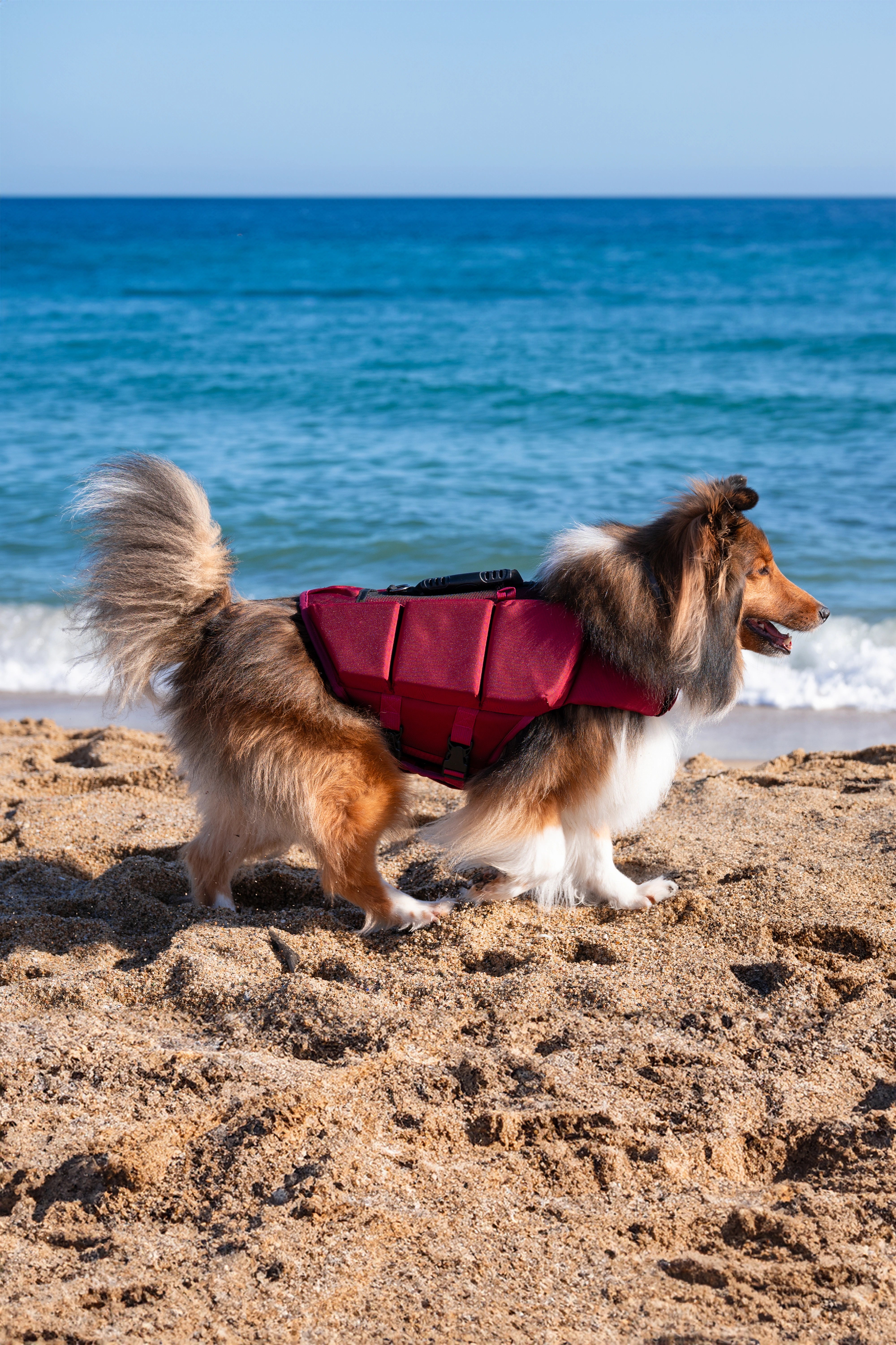 Dog Life Jacket Red x3 cubes foam M
