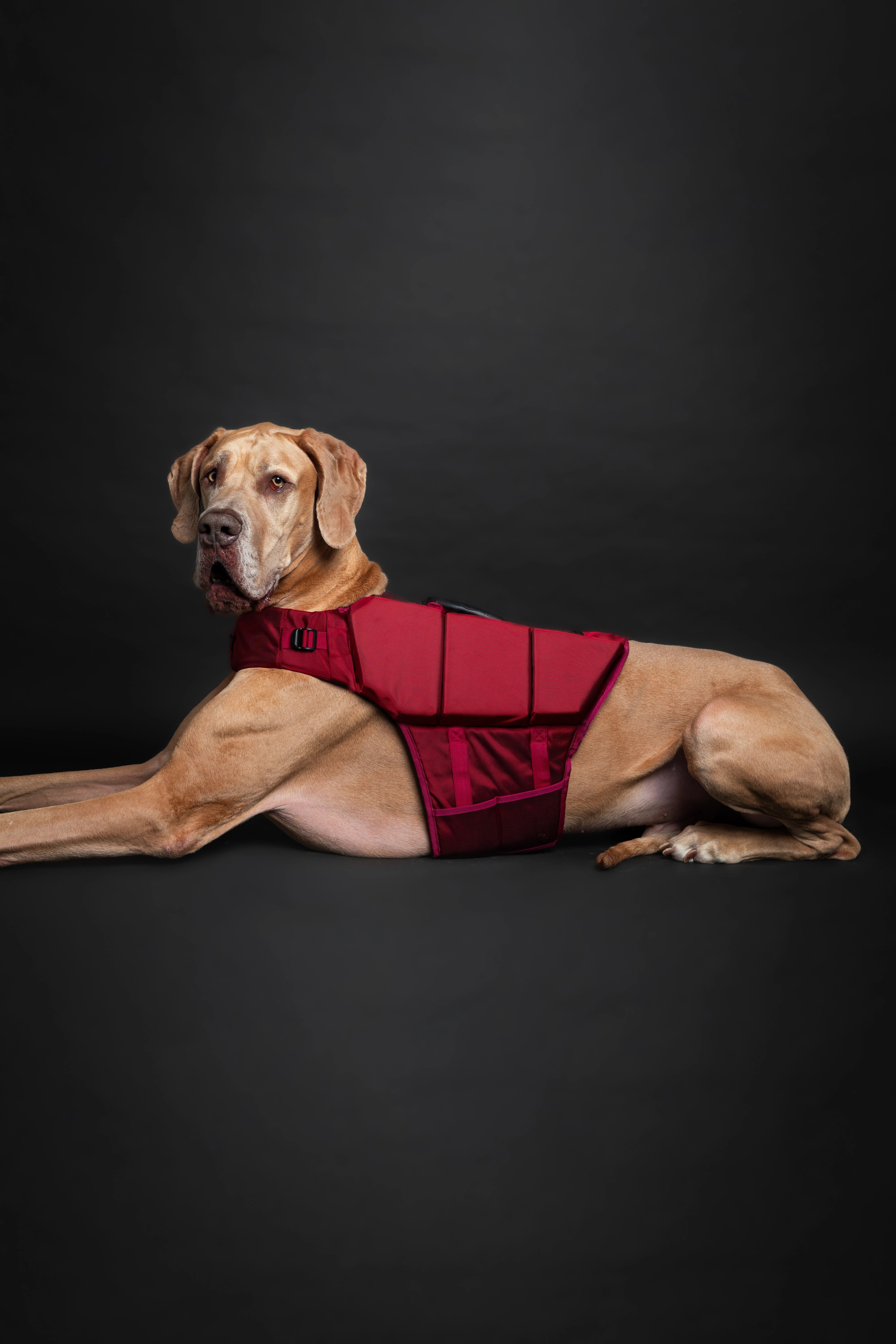 Dog Life Jacket Red x3 cubes foam XL