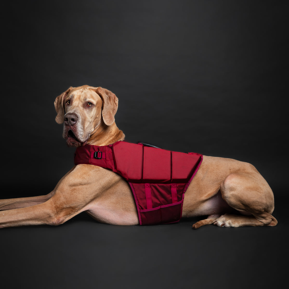Human Standards Dog Lifejacket Design with 3x Foam for Maxim - LJ3-RE-XL