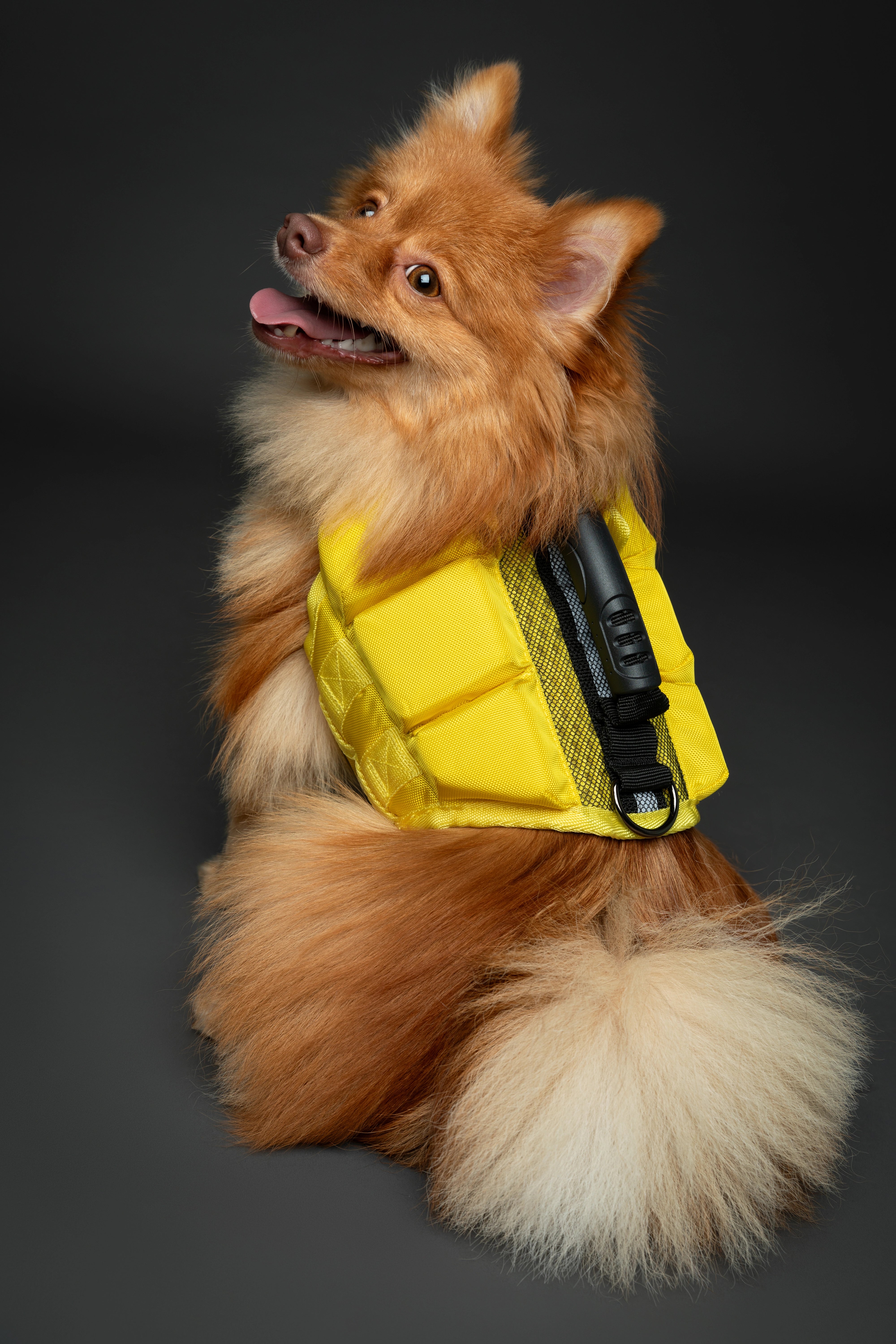 Dog Life Jacket Yellow x3 cubes foam S