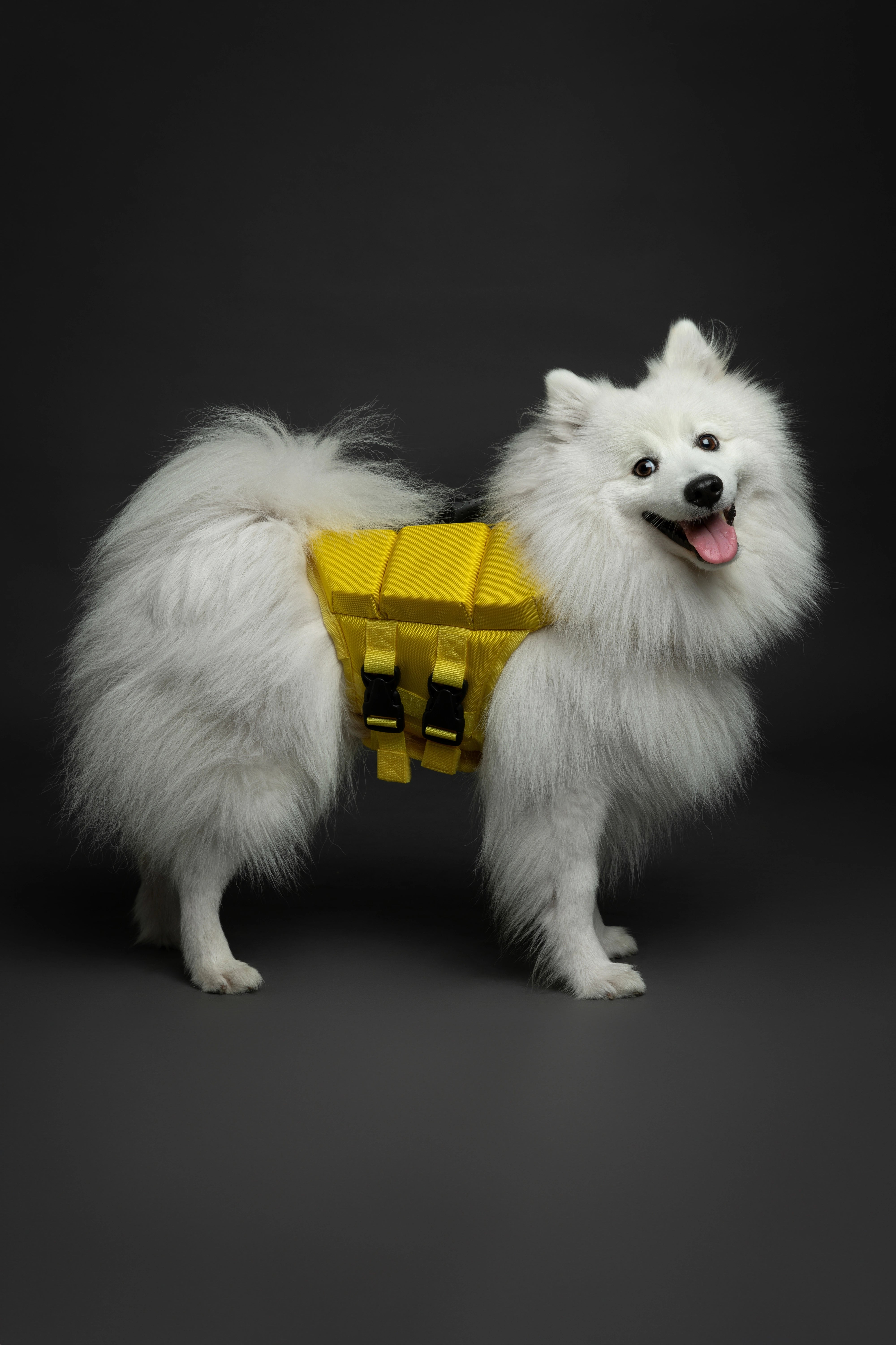 Dog Life Jacket Yellow x3 cubes foam S