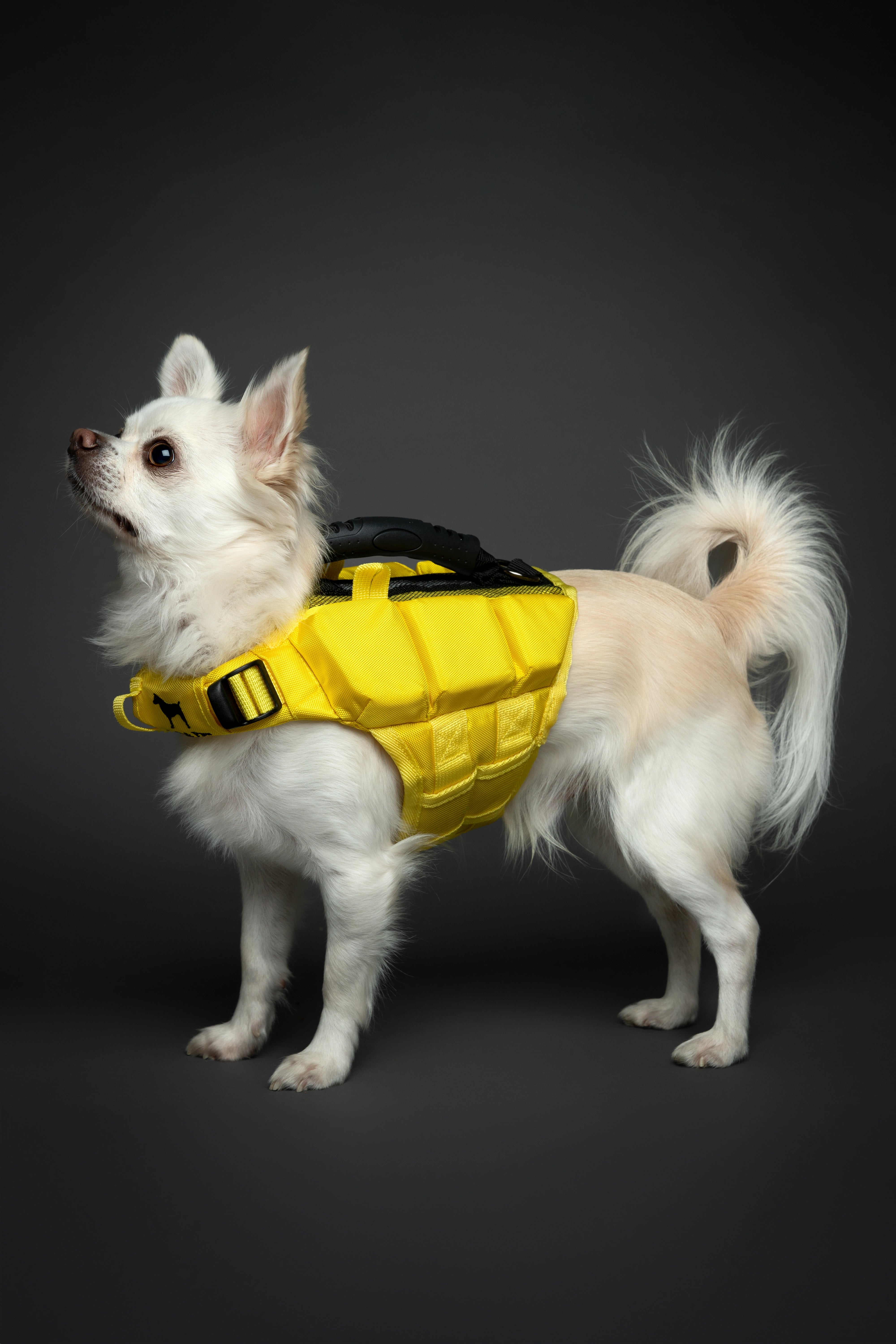 Dog Life Jacket Yellow x3 cubes foam XS