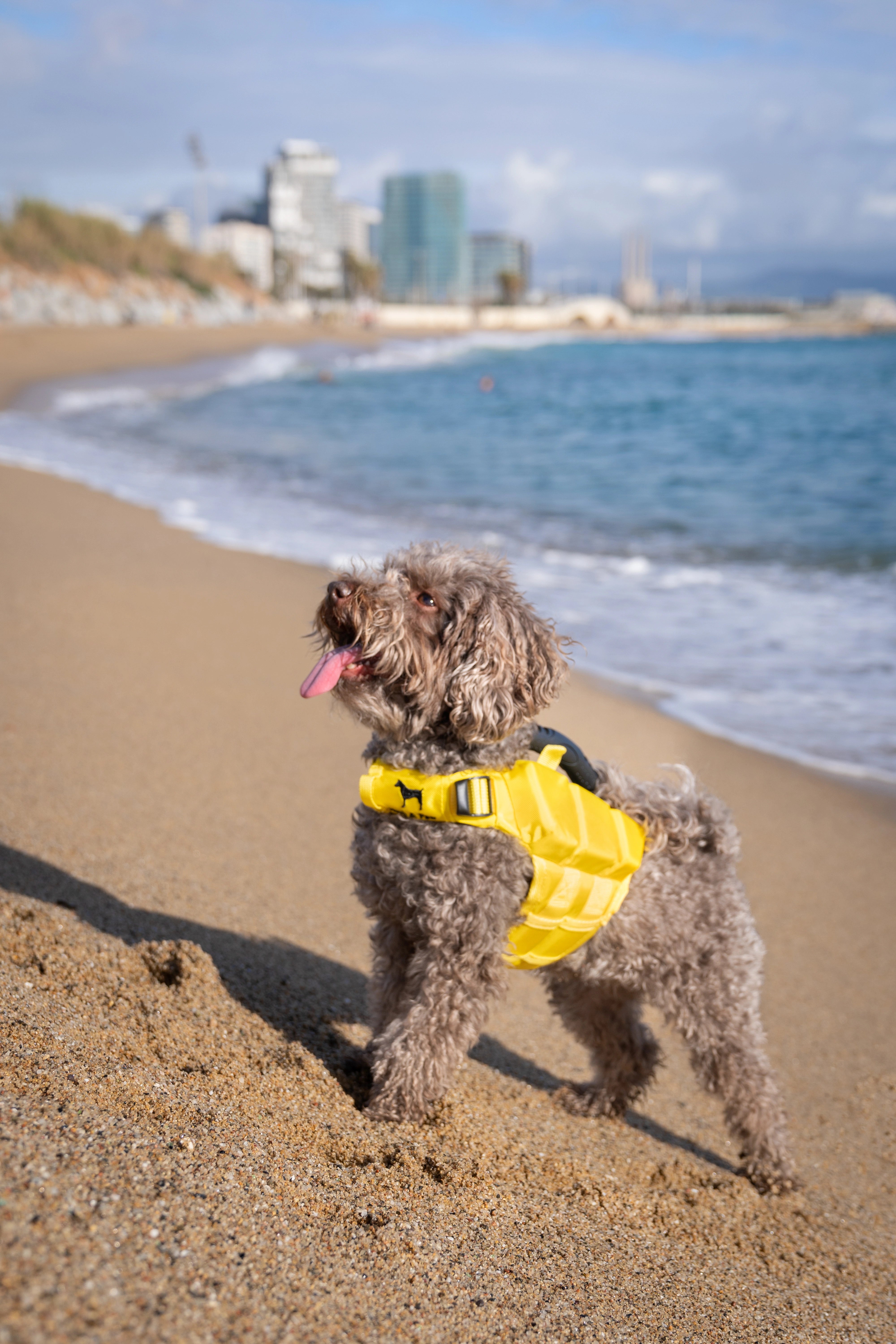 Dog Life Jacket Yellow x3 cubes foam XS