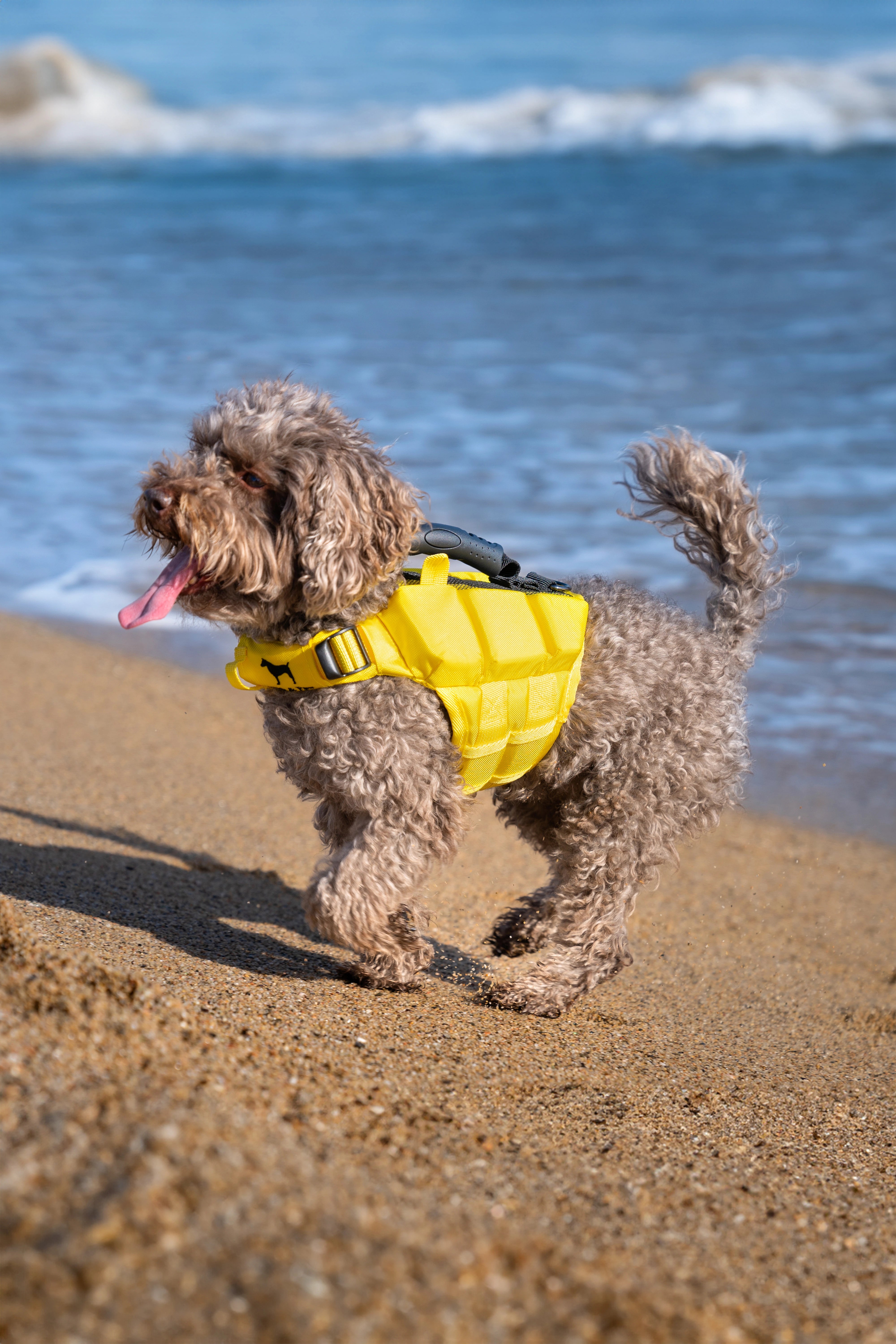 Dog Life Jacket Yellow x3 cubes foam XS
