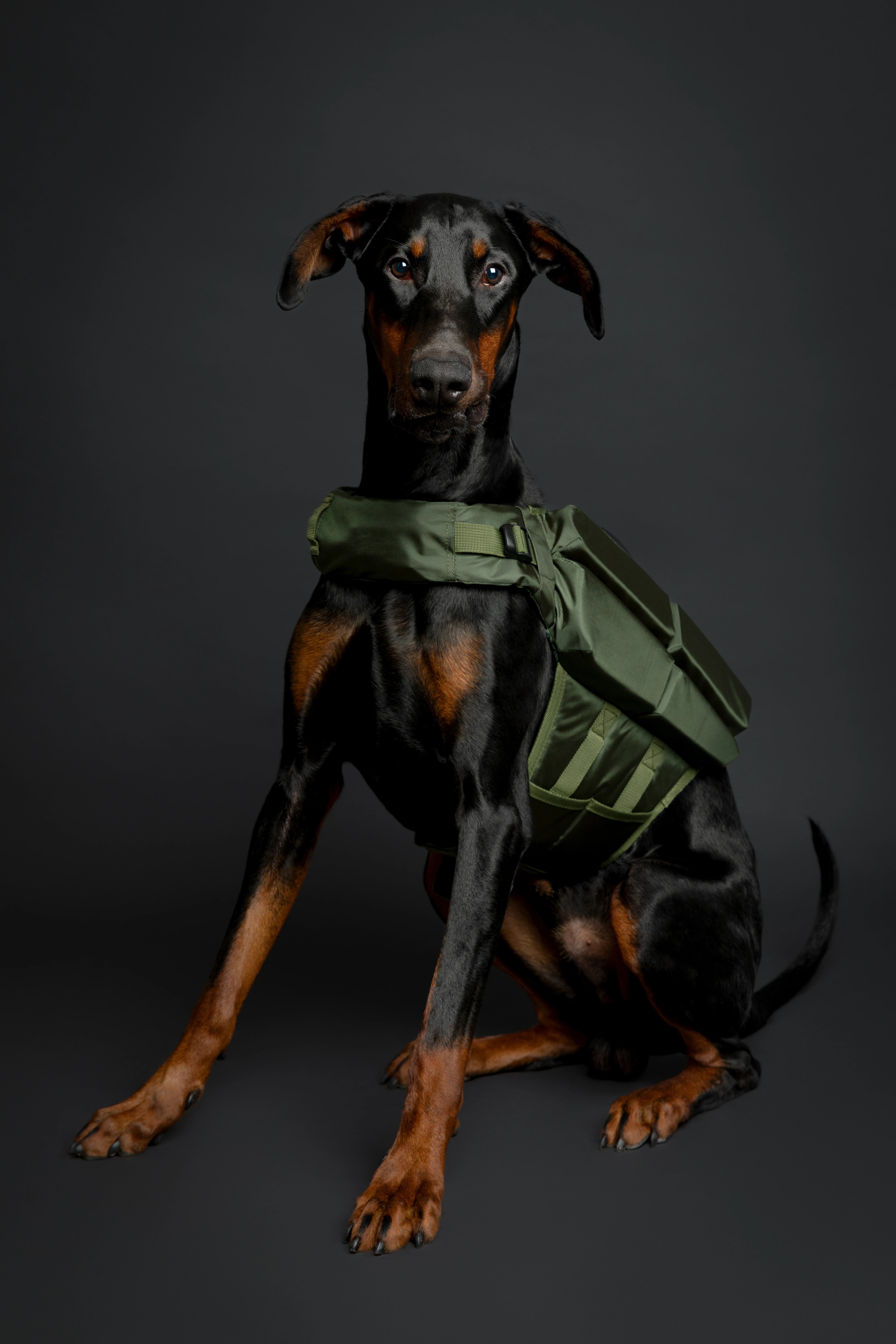 Dog Life Jacket Green x4 cubes foam L