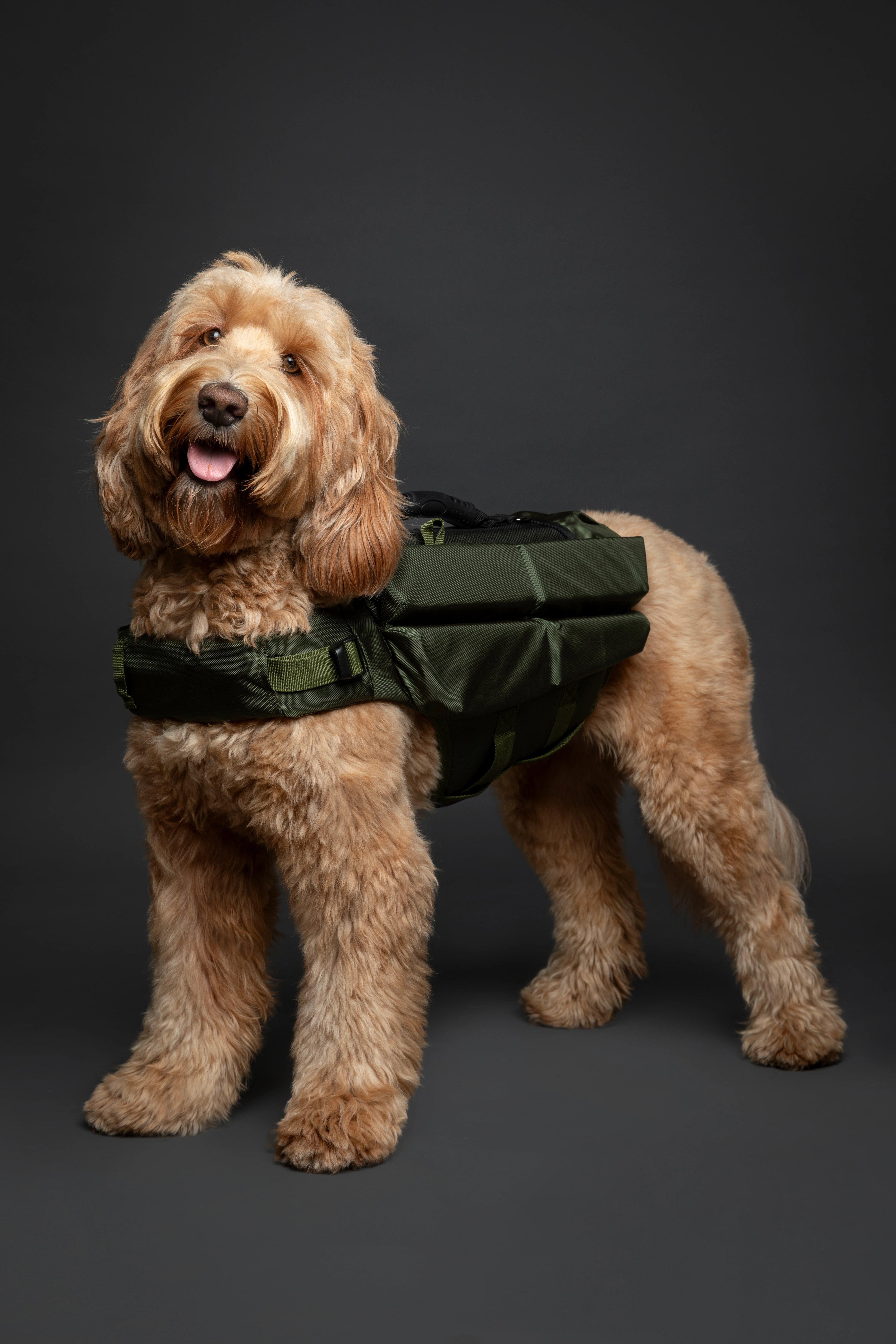 Dog Life Jacket Green x4 cubes foam M