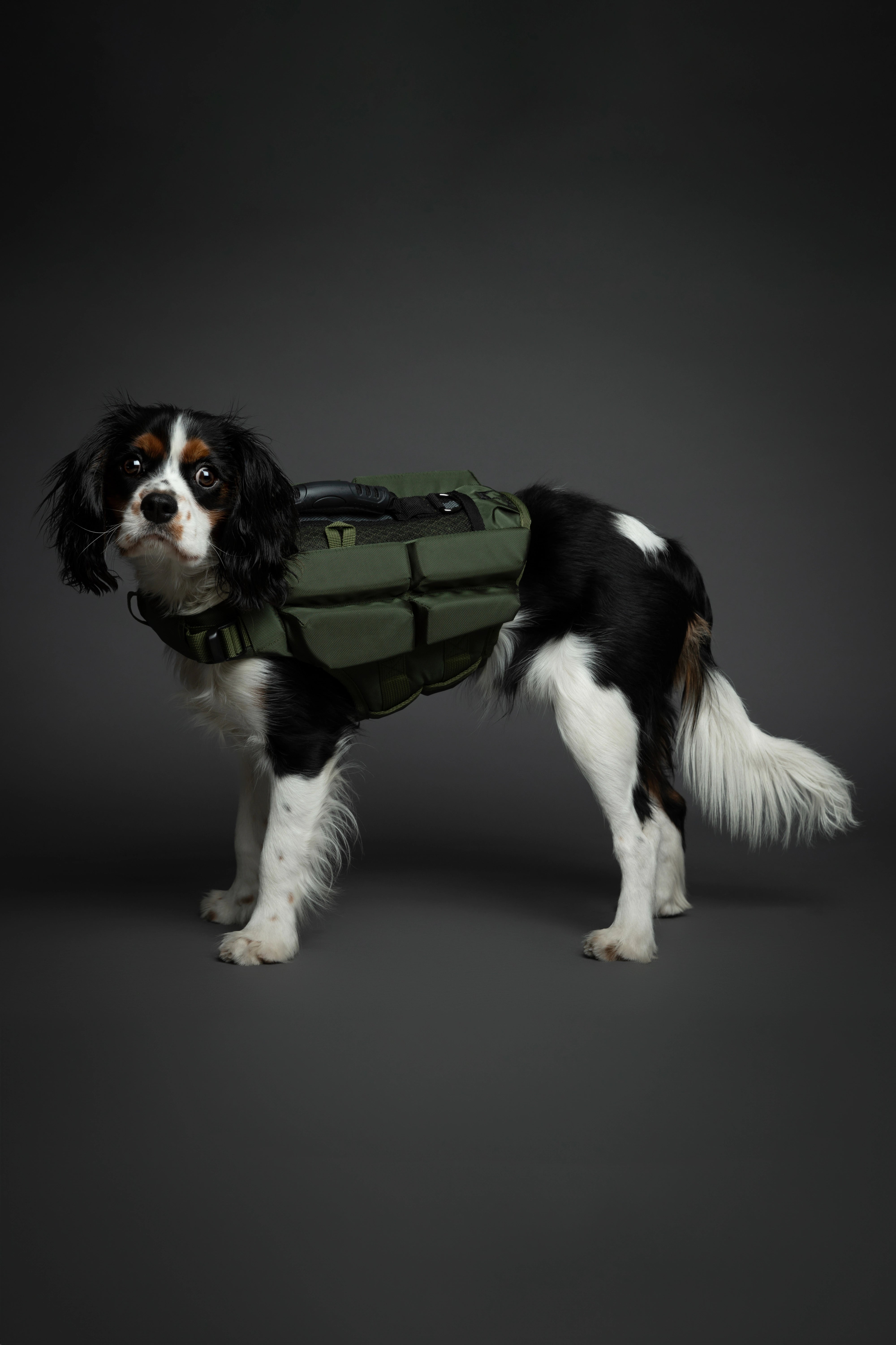 Dog Life Jacket Green x4 cubes foam M