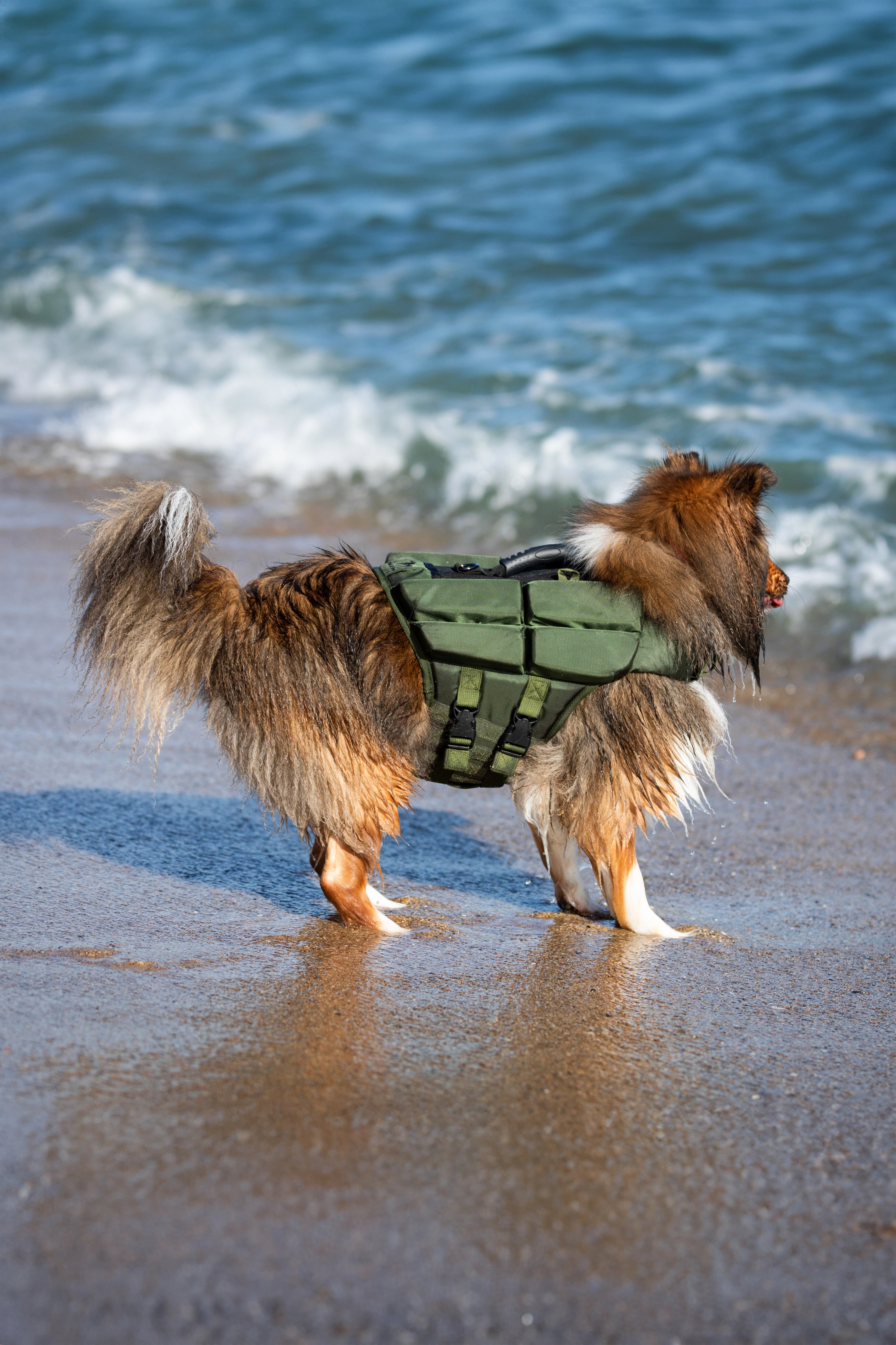 Dog Life Jacket Green x4 cubes foam M