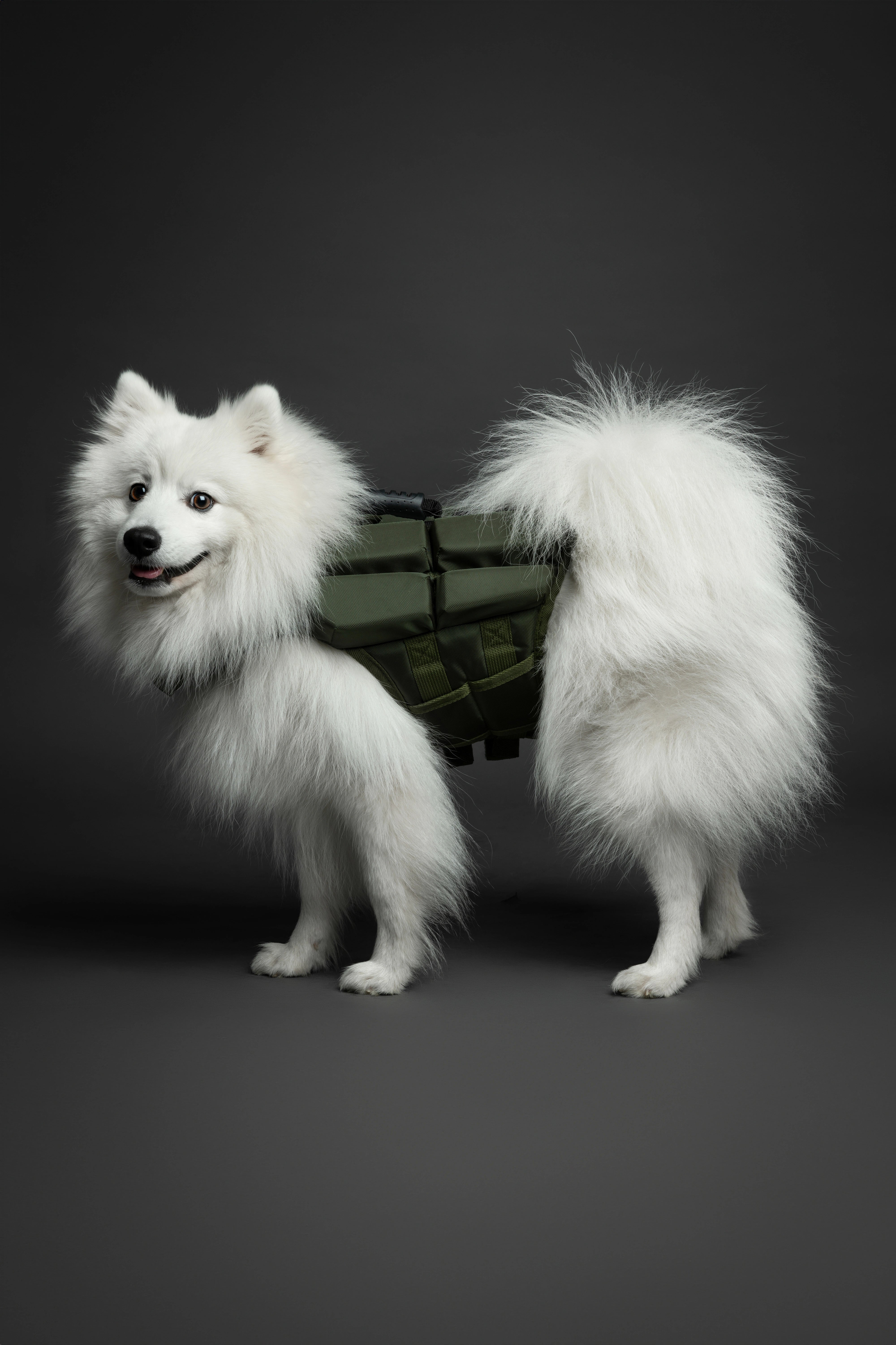 Dog Life Jacket Green x4 cubes foam S
