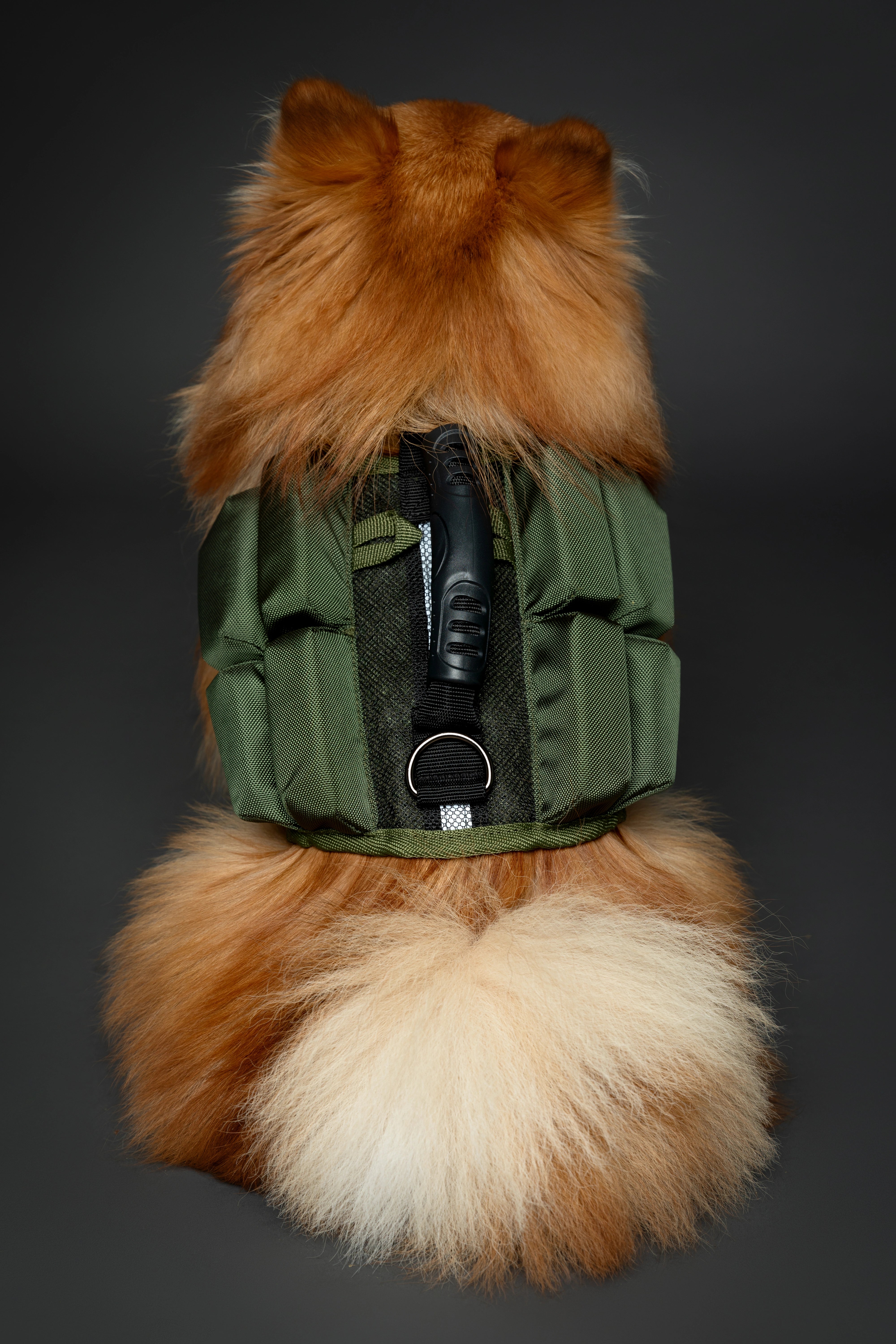 Dog Life Jacket Green x4 cubes foam S