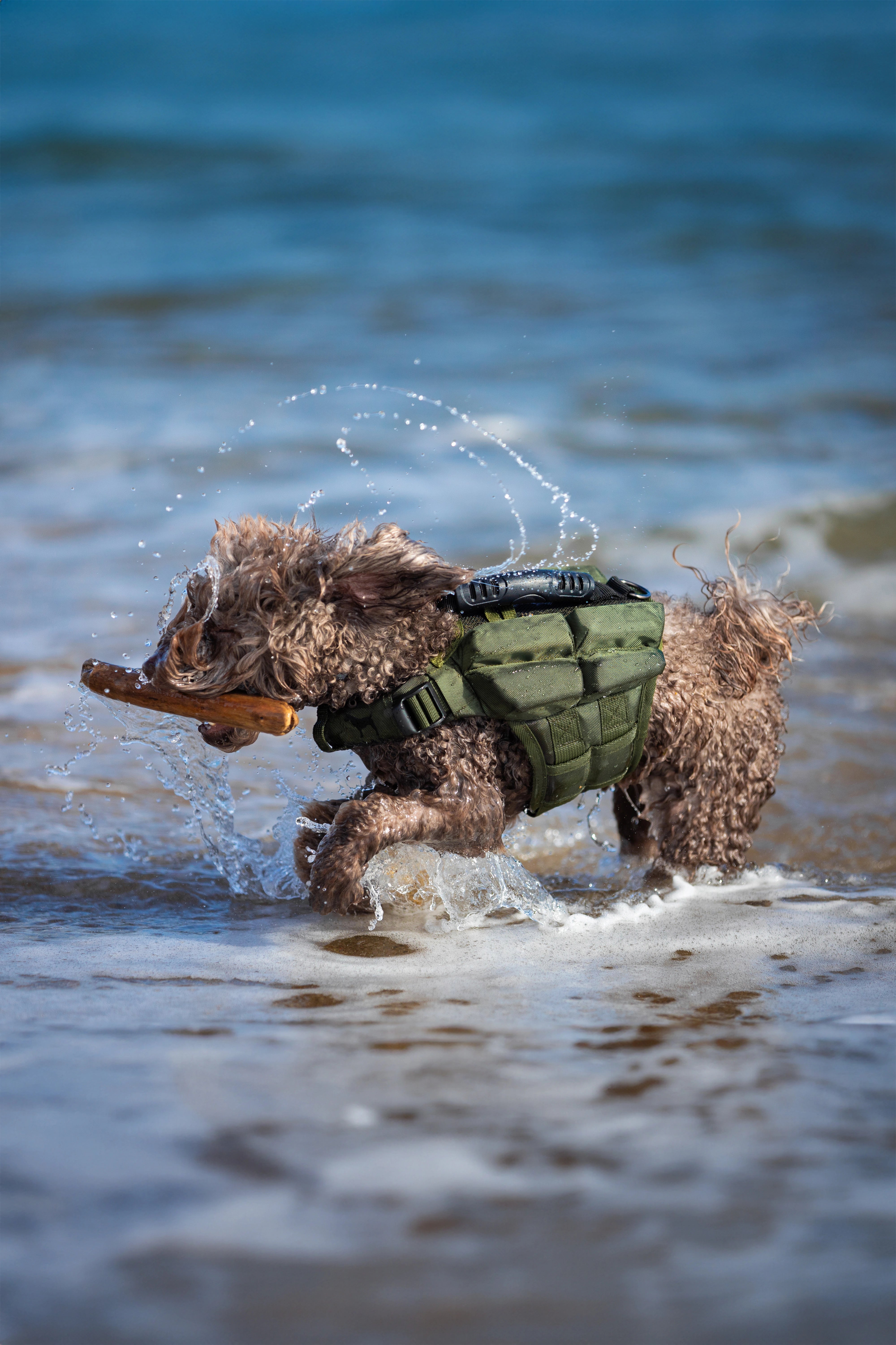 Dog Life Jacket Green x4 cubes foam S