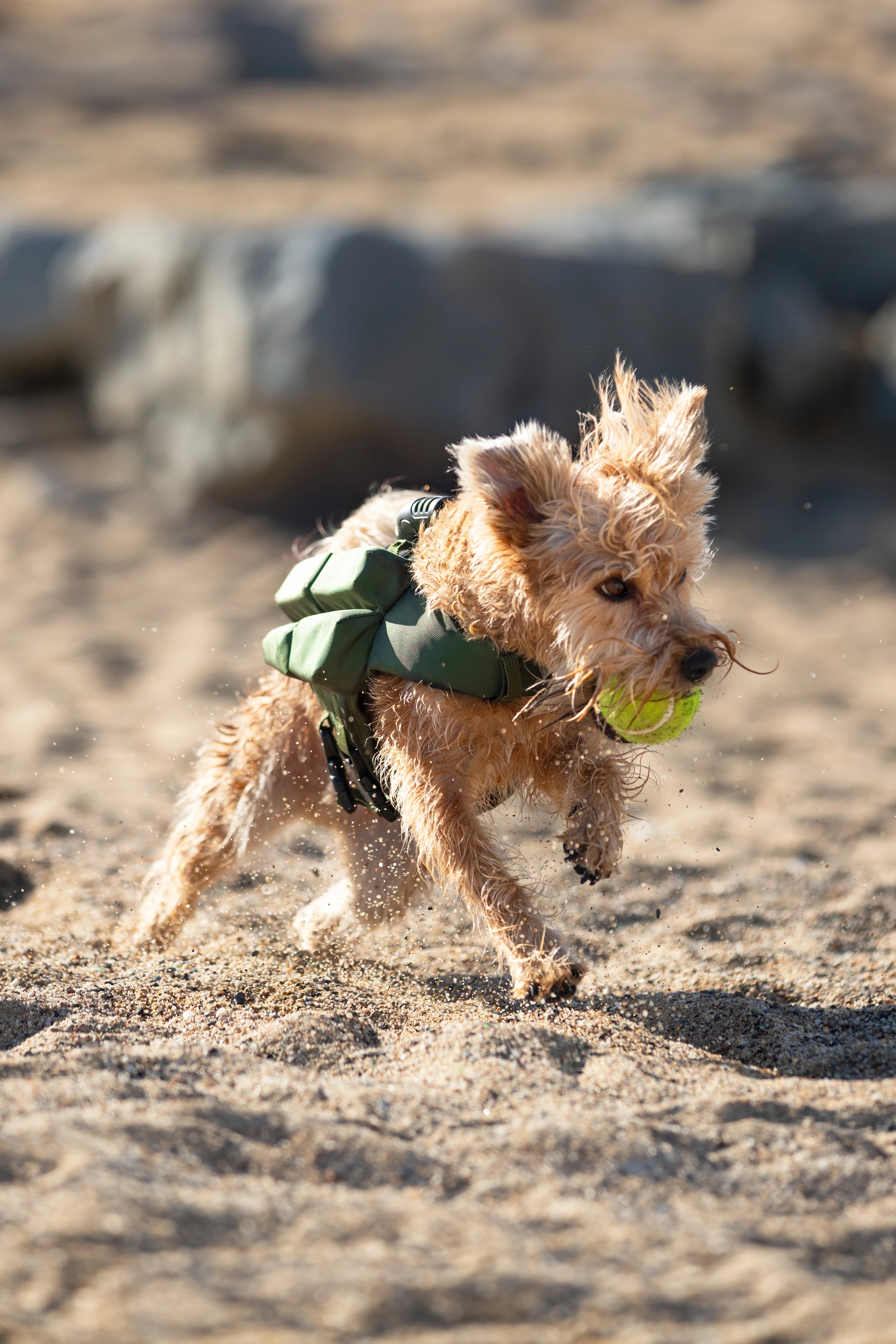 Dog Life Jacket Green x4 cubes foam S