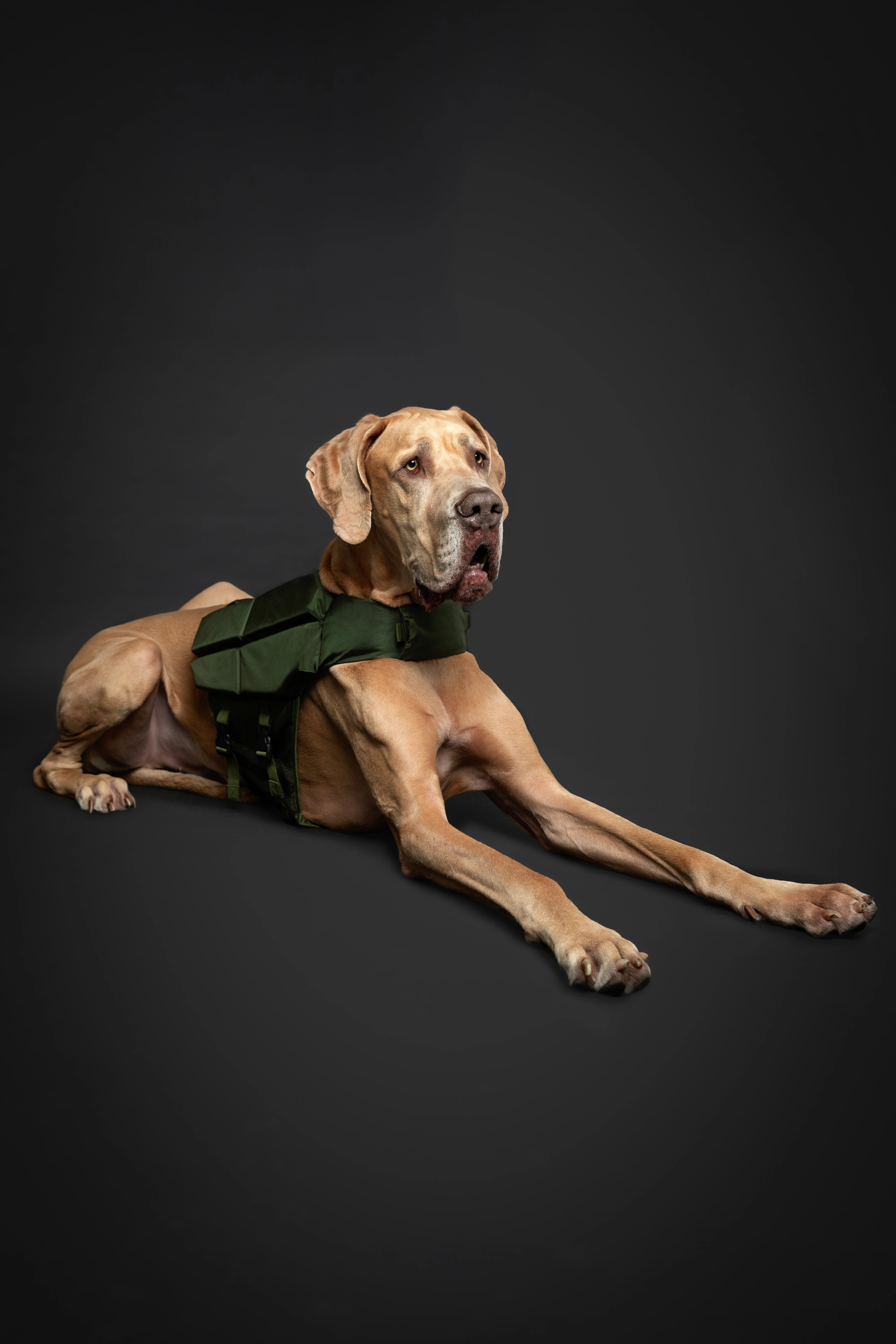 Dog Life Jacket Green x4 cubes foam XL