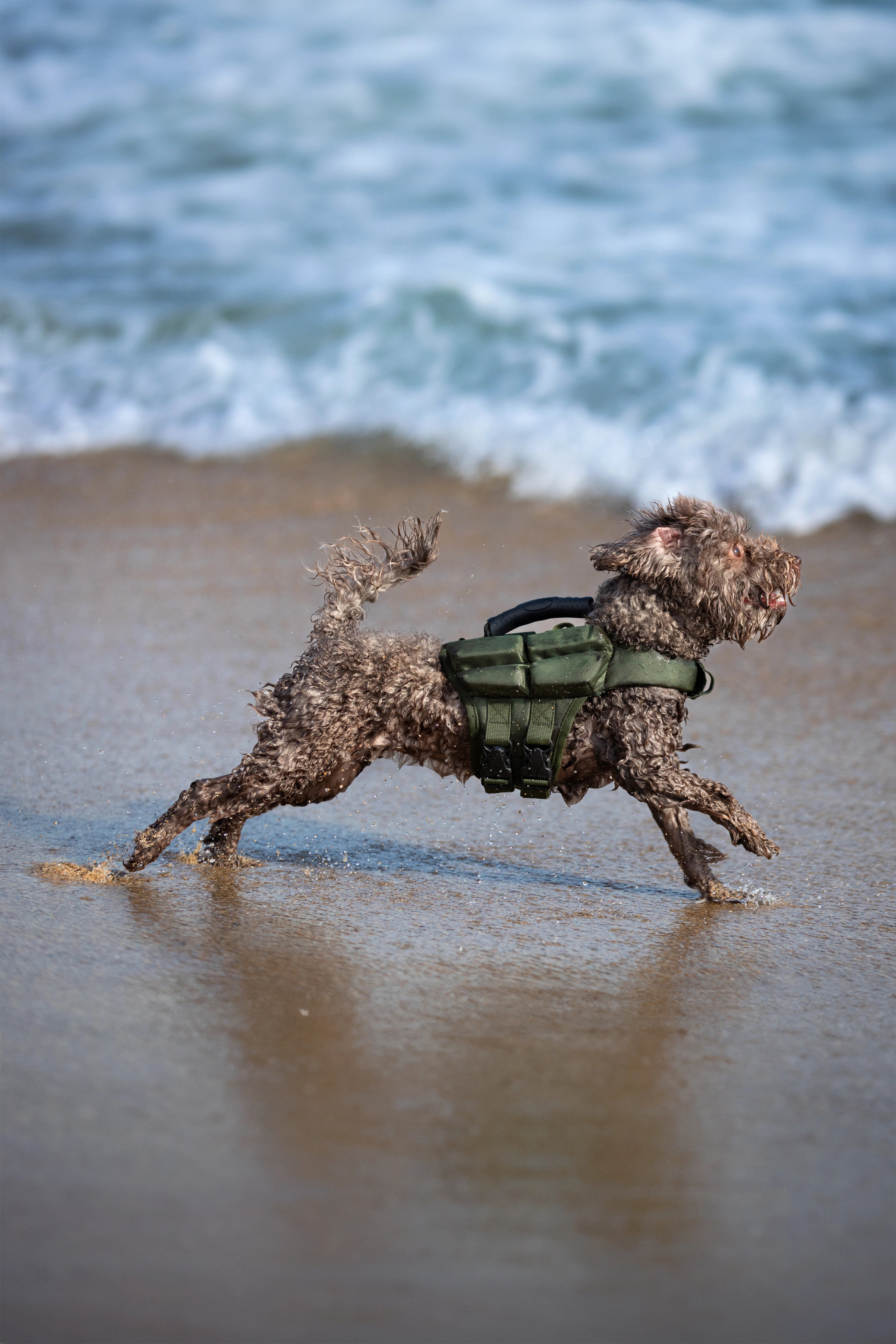 Dog Life Jacket Green x4 cubes foam XS