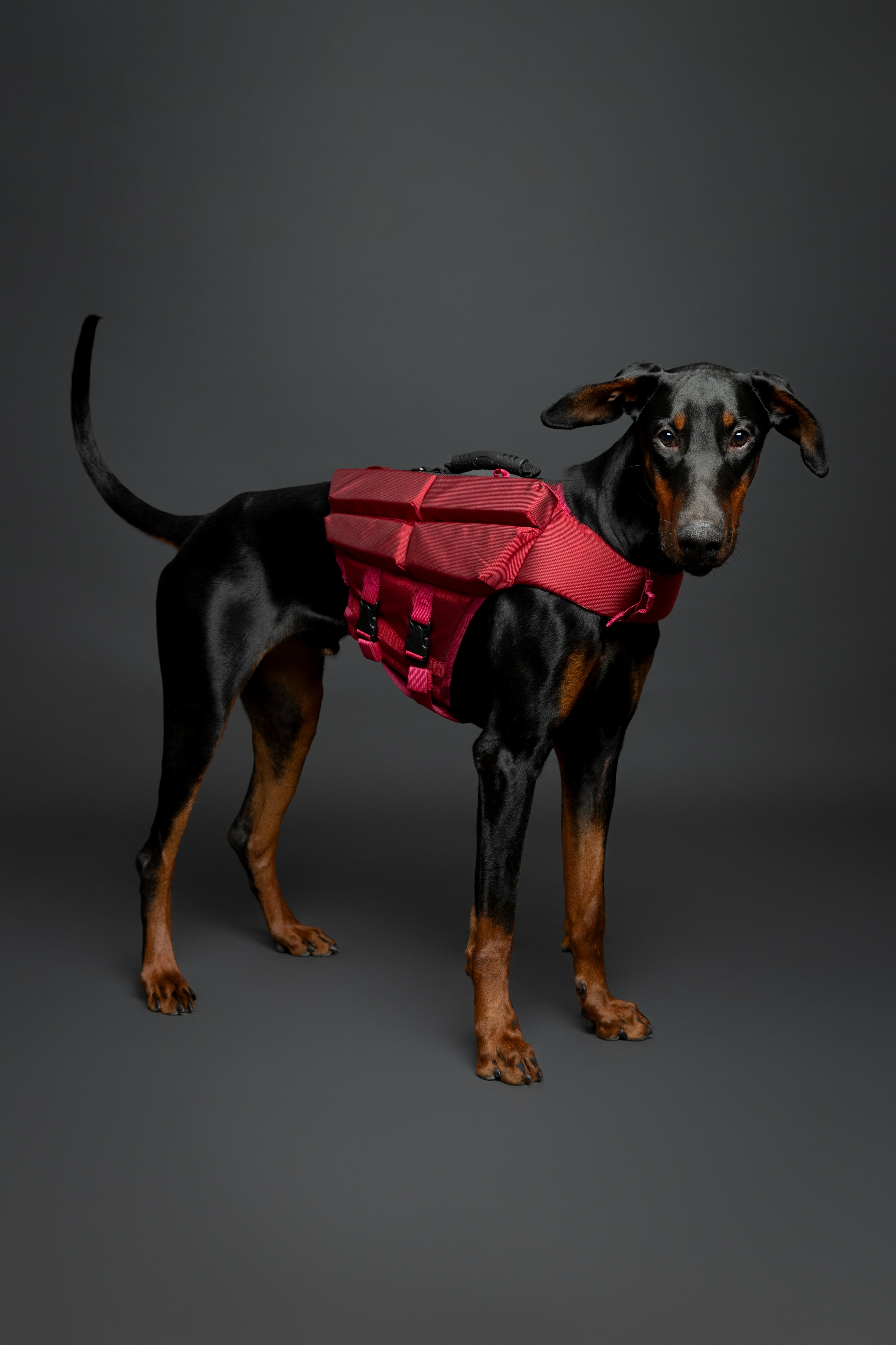 Dog Life Jacket Red x4 cubes foam L