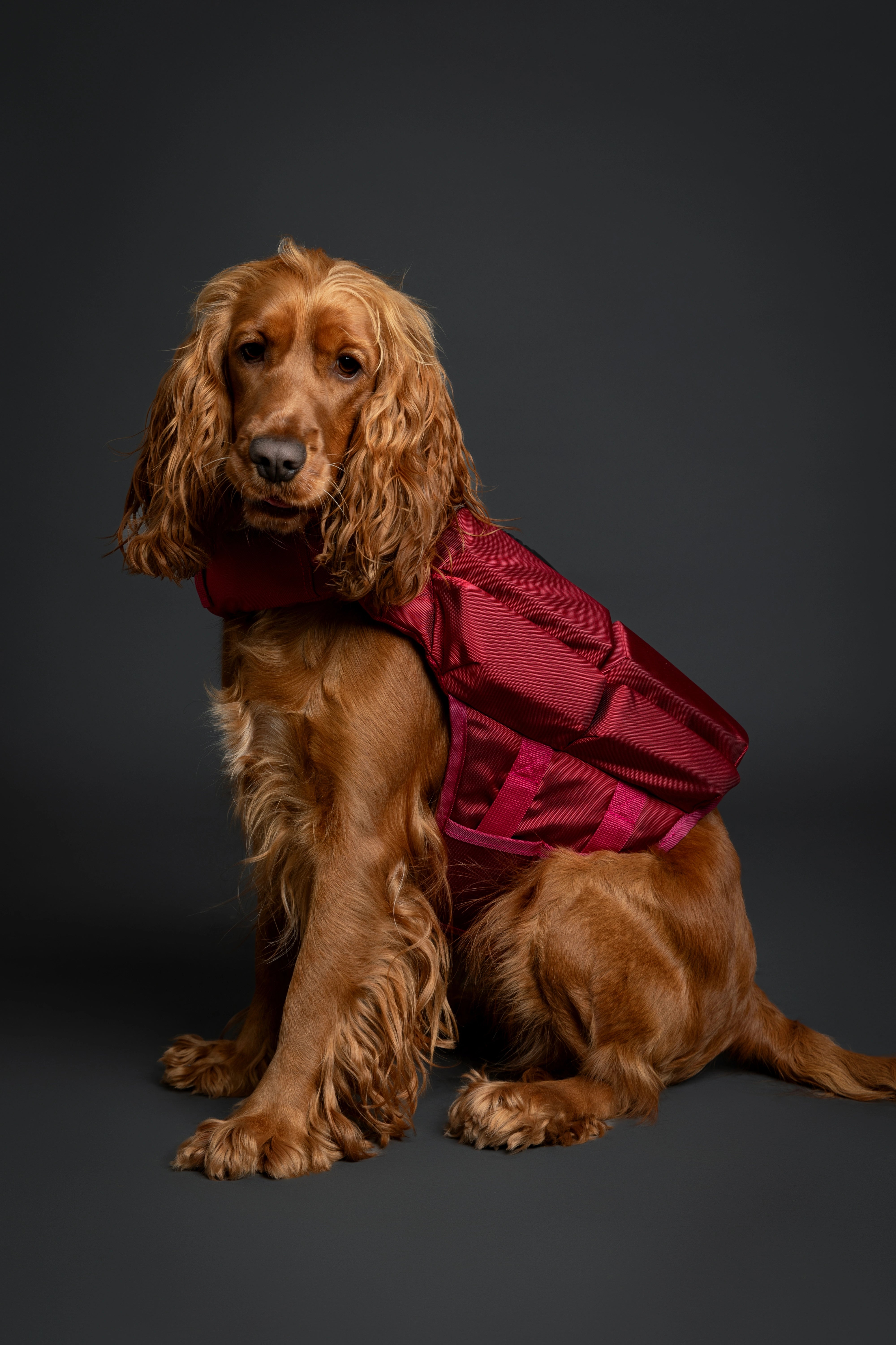 Dog Life Jacket Red x4 cubes foam M