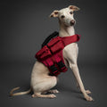 Noah & Paw dog life jacket with 4x foam for buoyancy, red, size XS