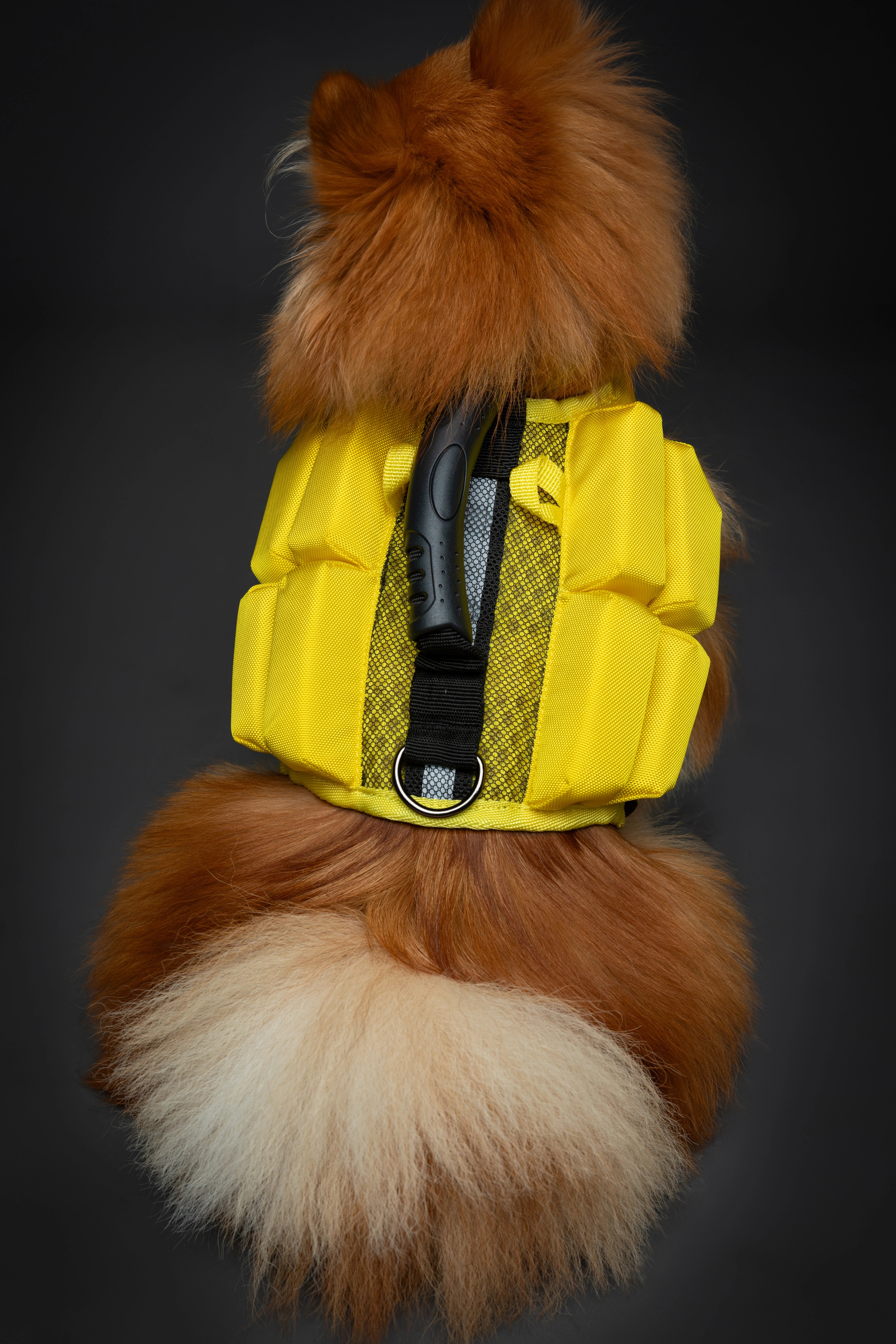 Dog Life Jacket Yellow x4 cubes foam S