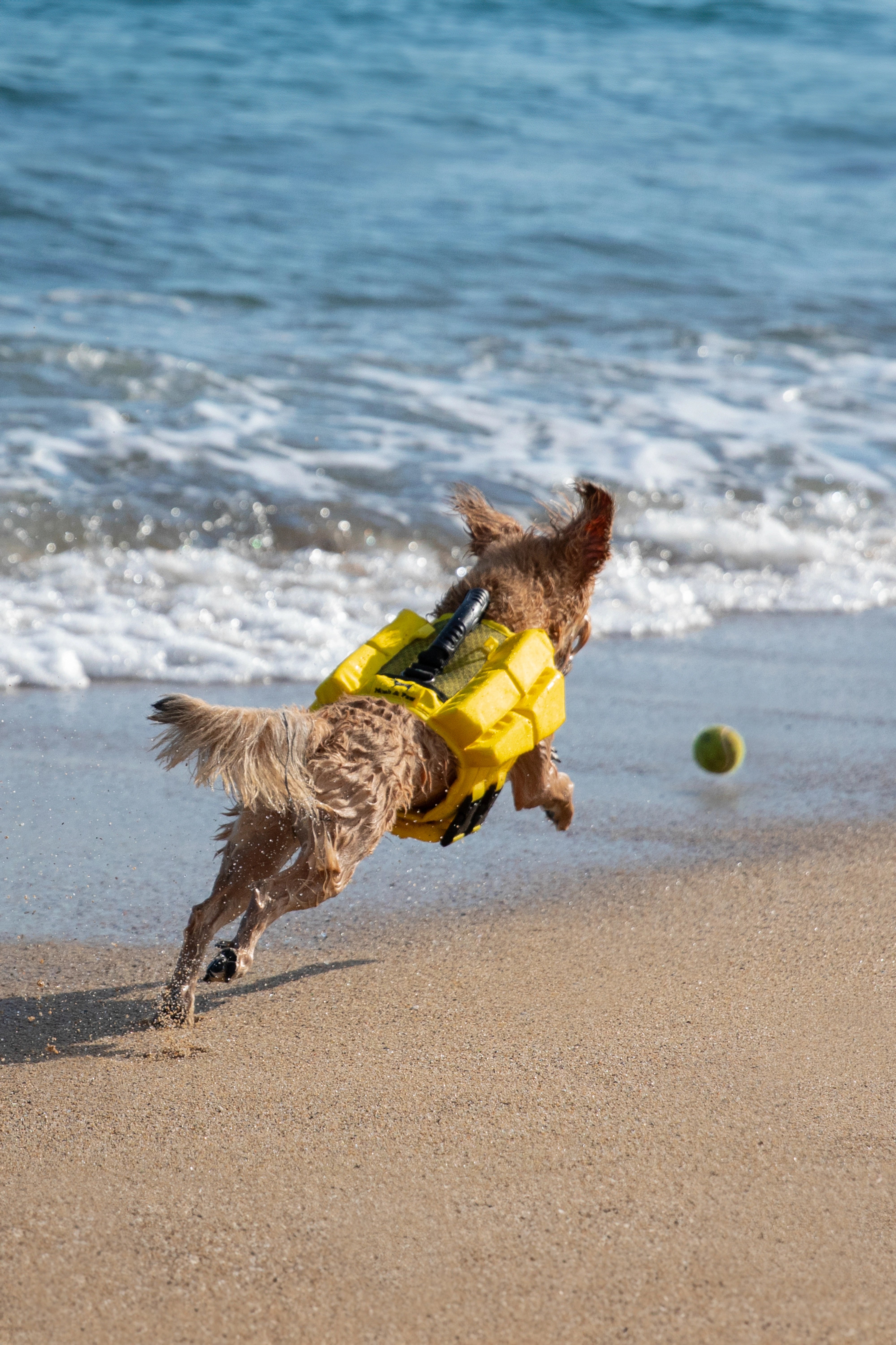 Dog Life Jacket Yellow x4 cubes foam S