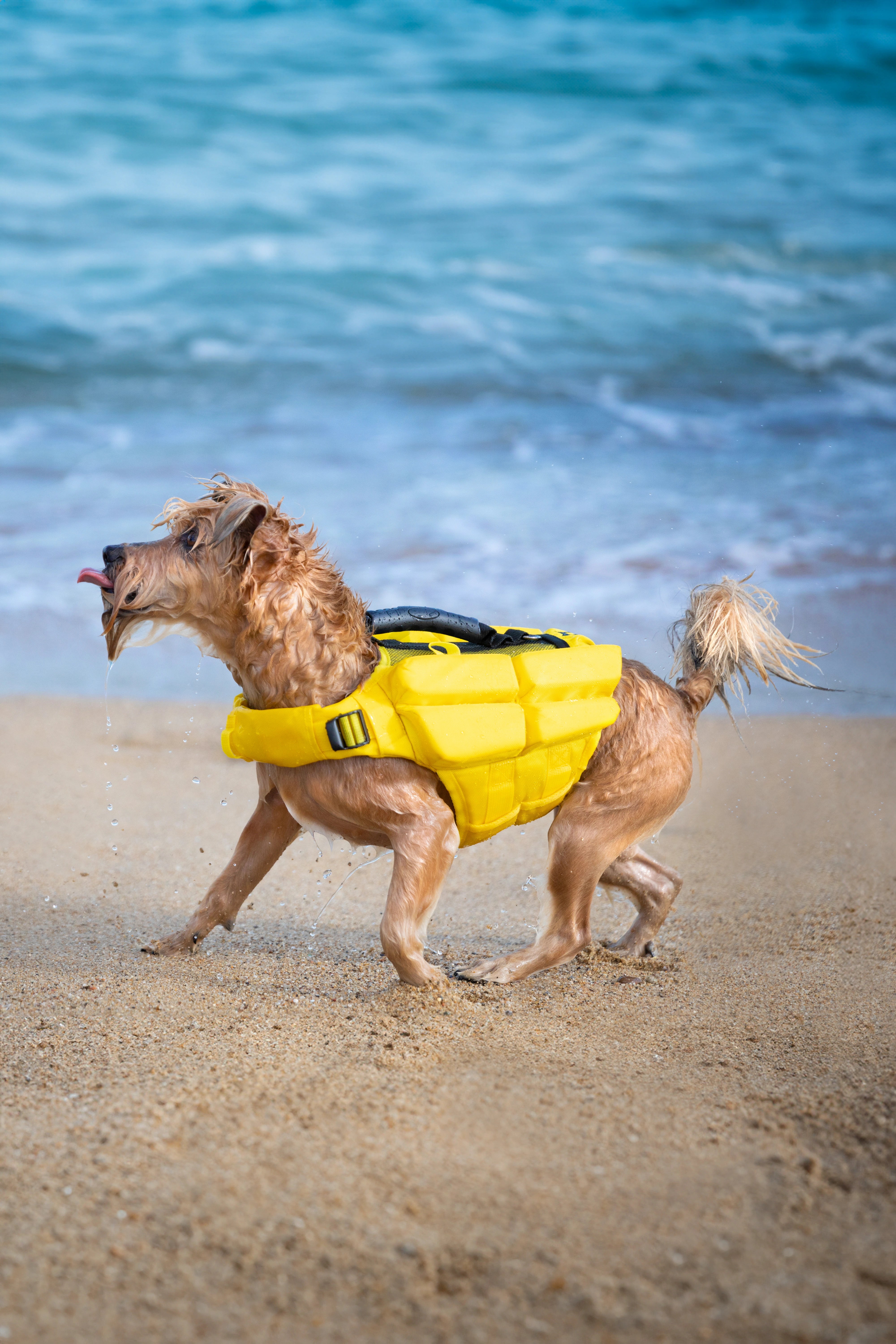 Dog Life Jacket Yellow x4 cubes foam S