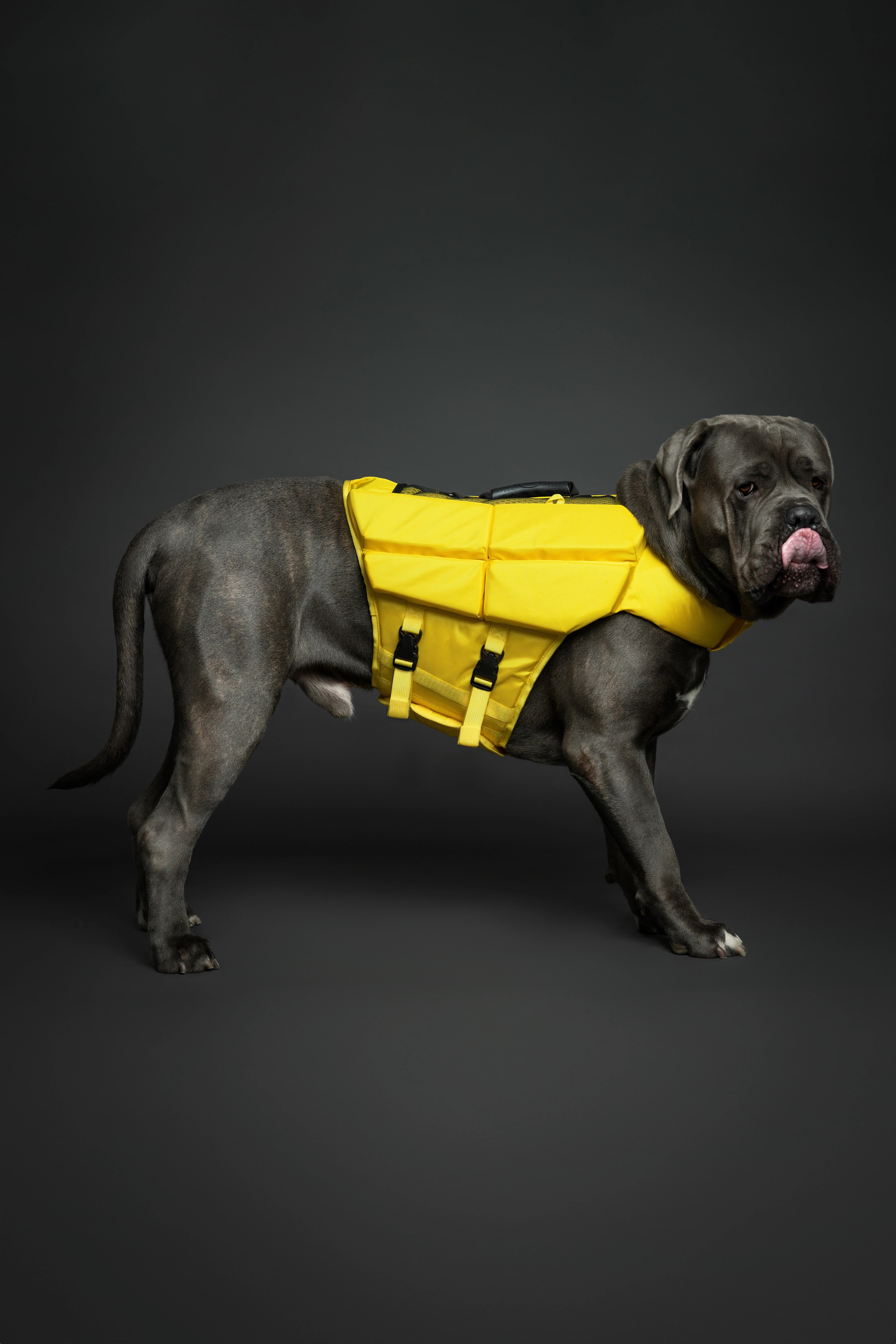Dog Life Jacket Yellow x4 cubes foam XL