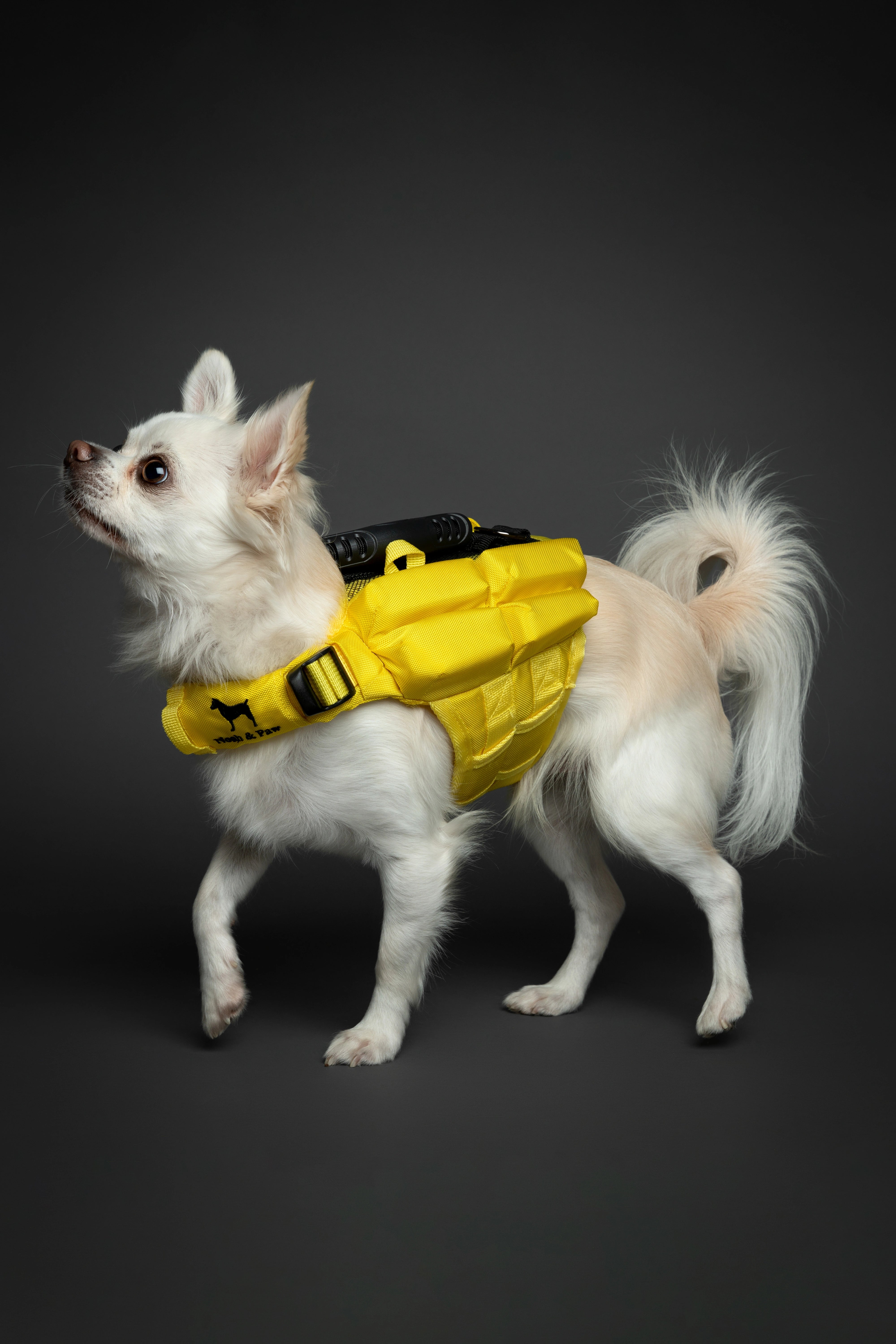 Dog Life Jacket Yellow x4 cubes foam XS
