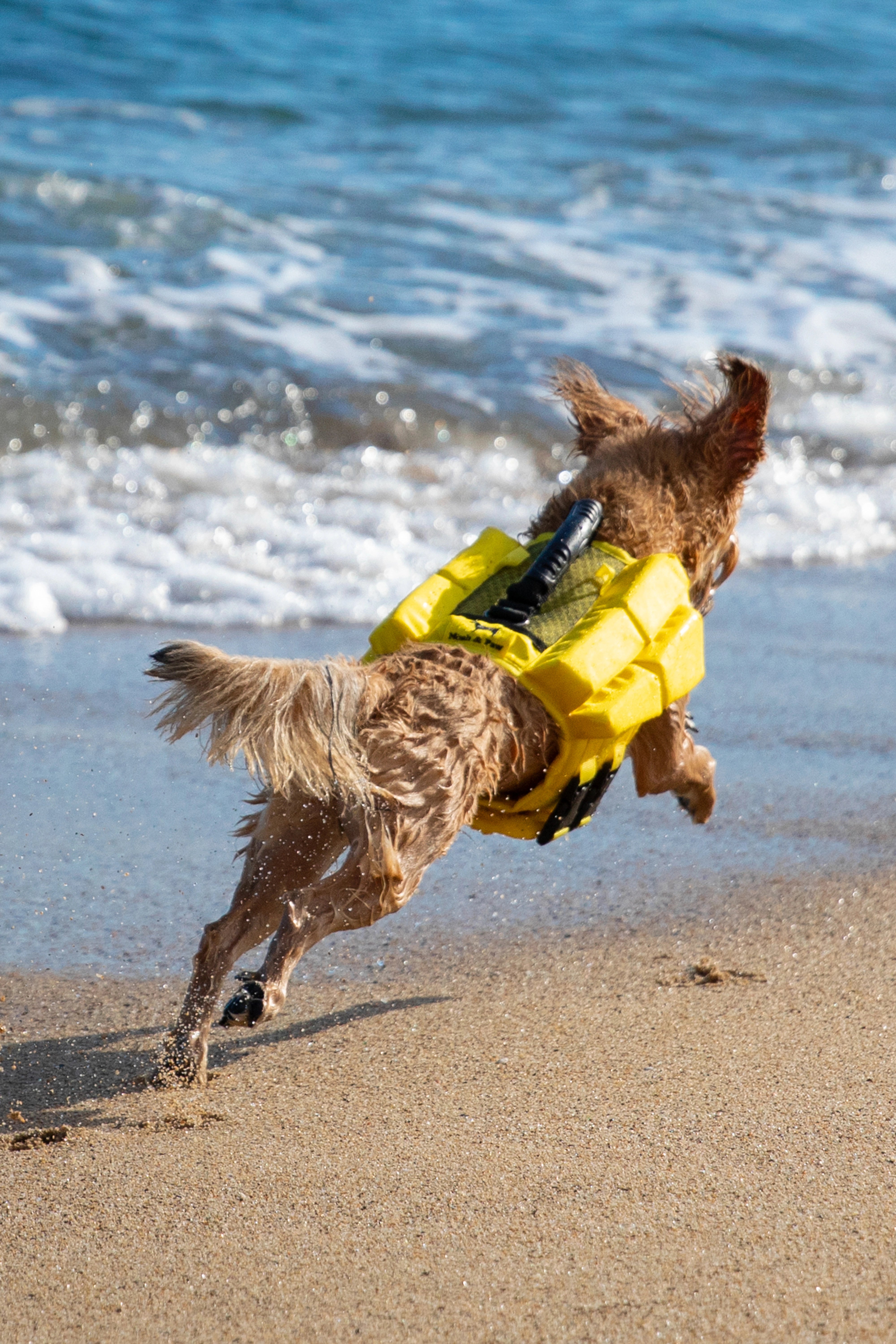 Dog Life Jacket Yellow x4 cubes foam XS