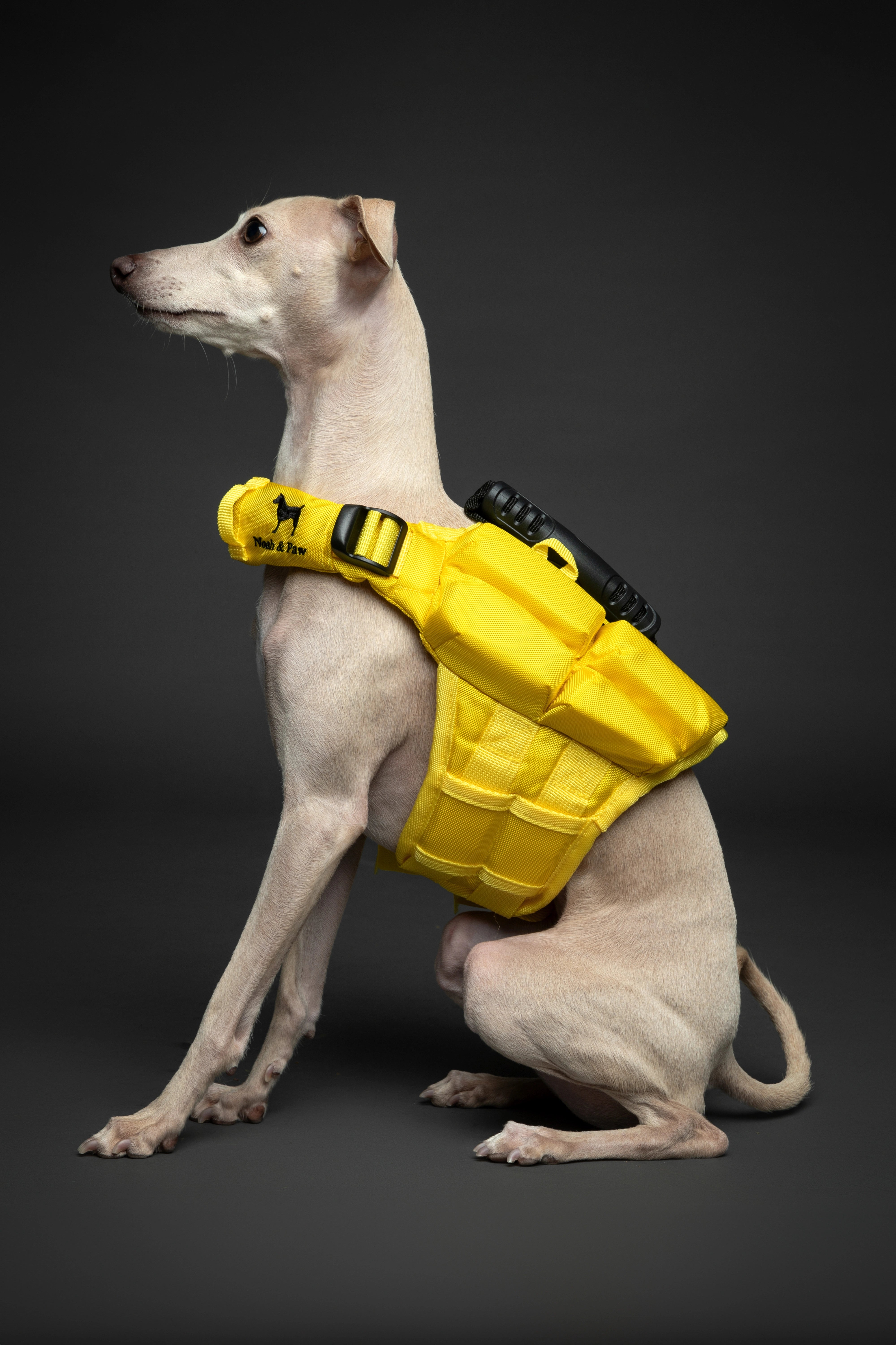 Dog Life Jacket Yellow x4 cubes foam XS