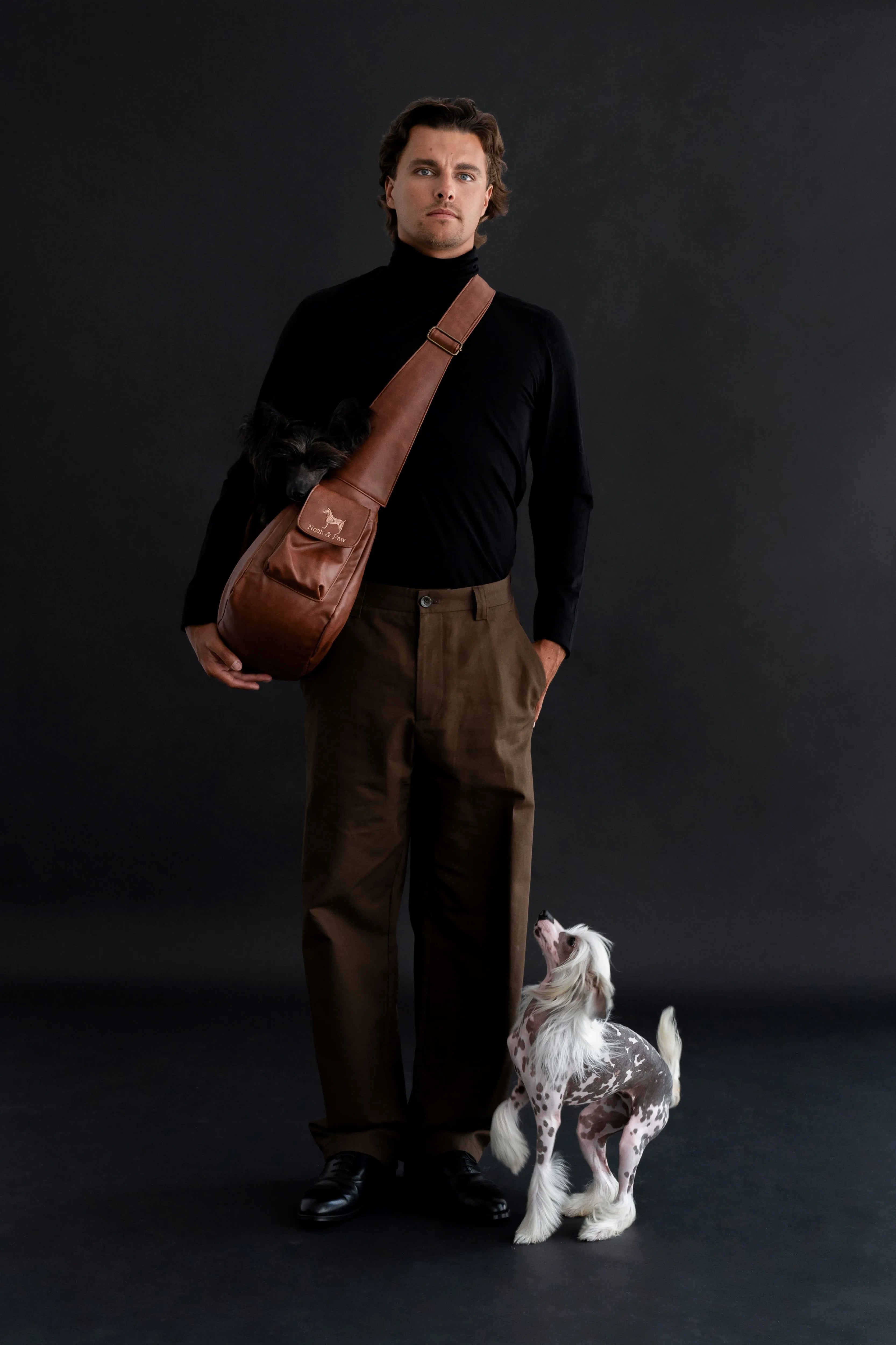 Ruffle Style Dog Sling Carrier - Brown