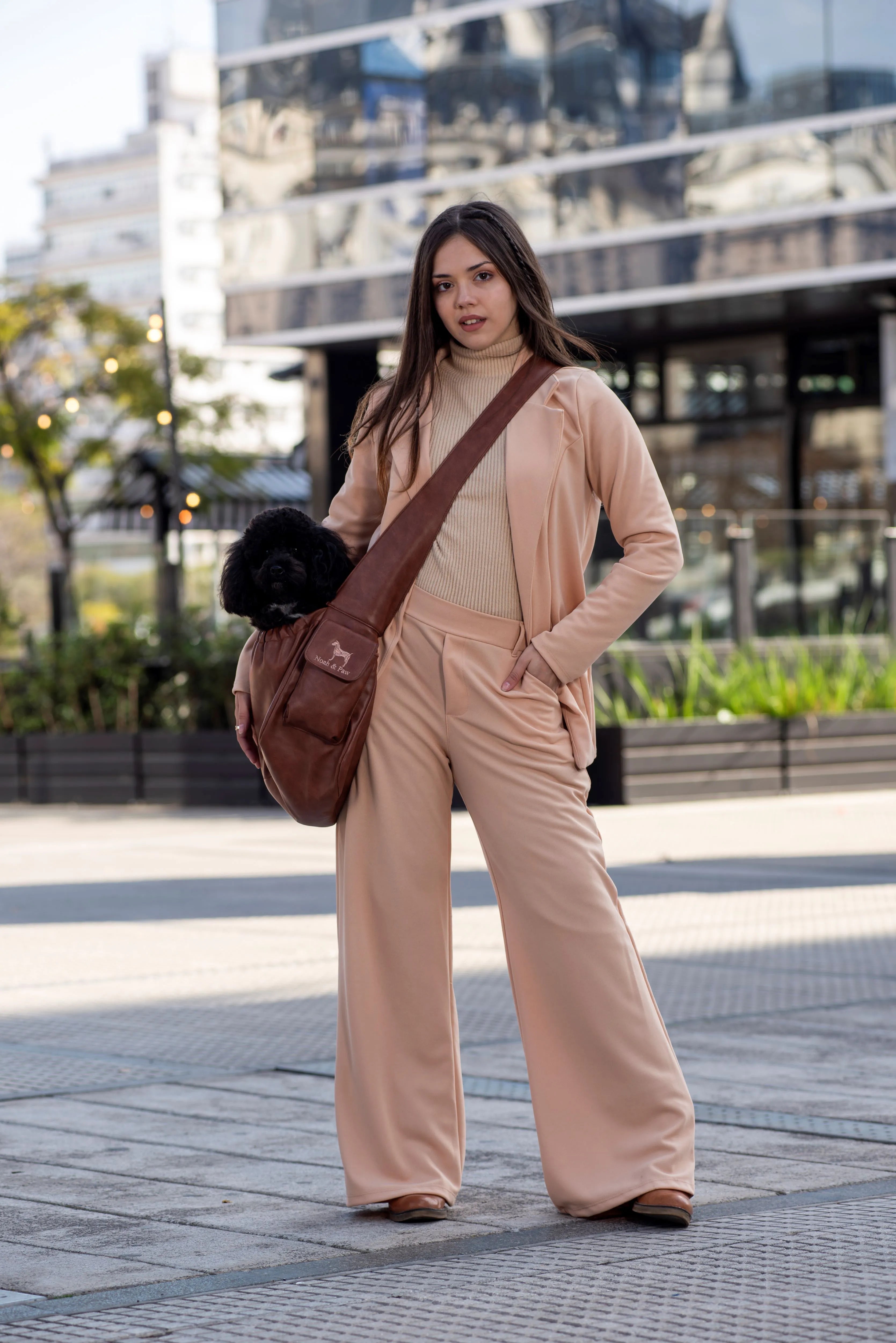 Ruffle Style Dog Sling Carrier - Brown