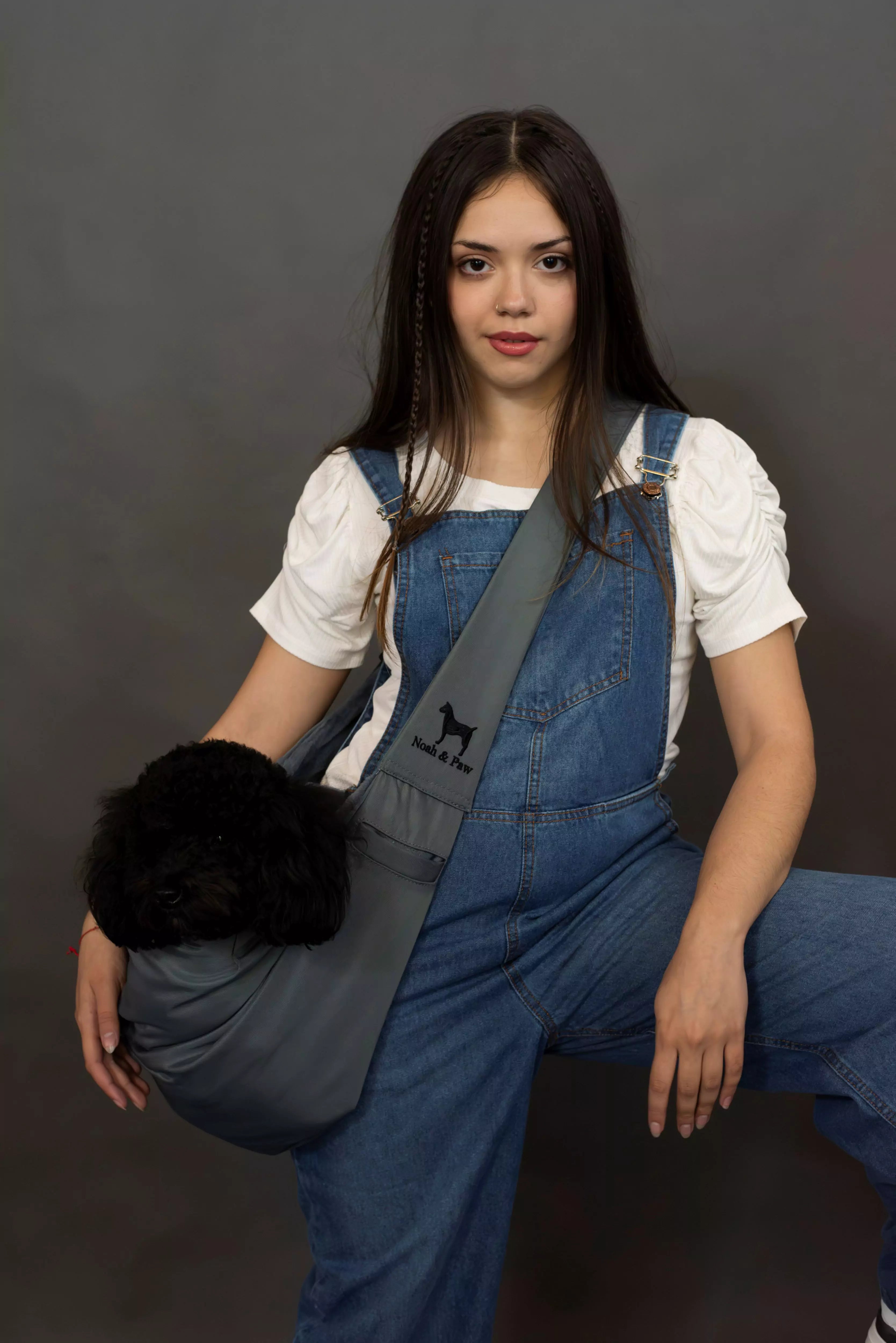 Snap Style Dog Sling Carrier - Grey Twill