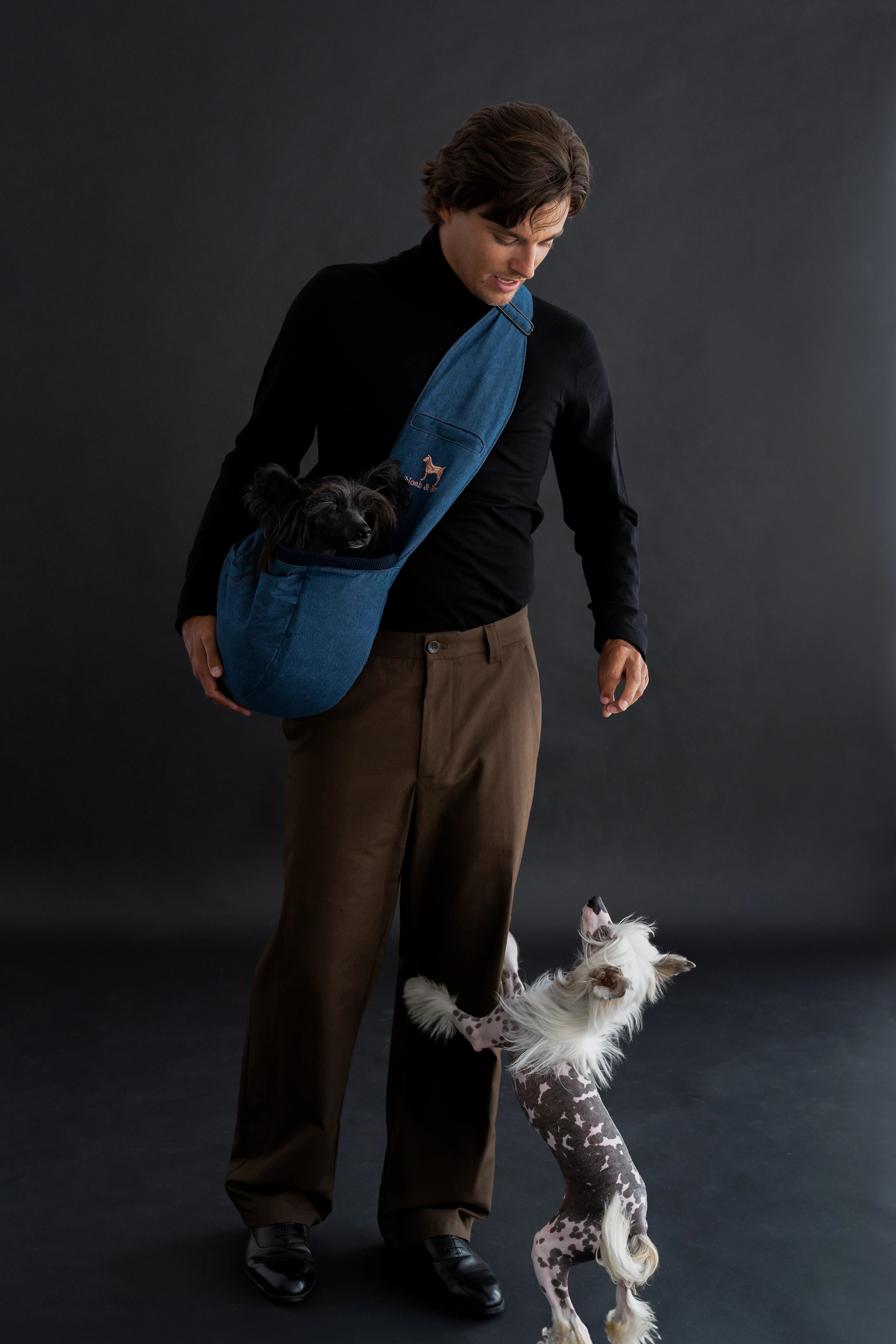 Zipper Style Dog Sling Carrier - Light Blue Denim