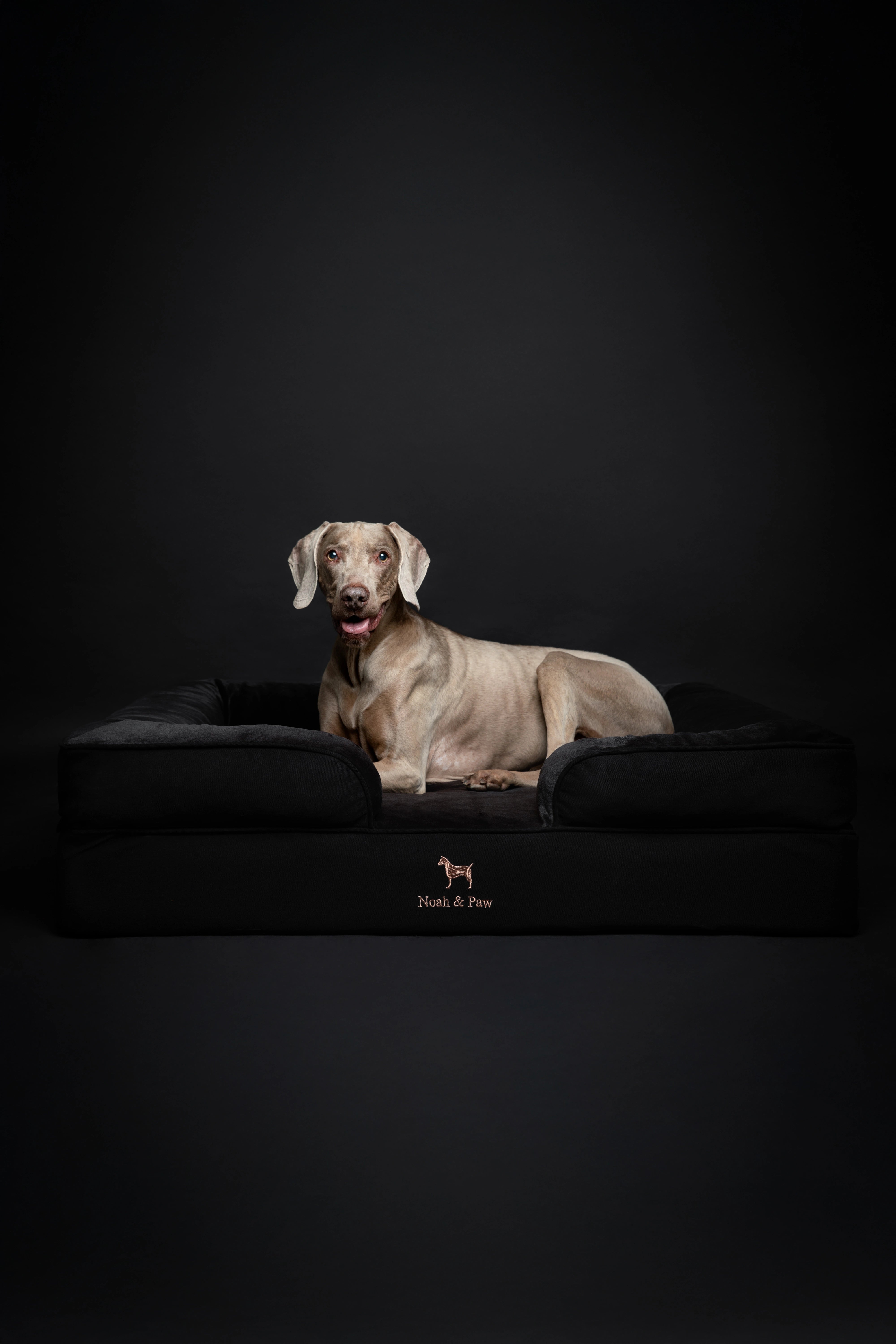 Denim, Orthopedic Pet Bed, Sofa Style - Black - XL