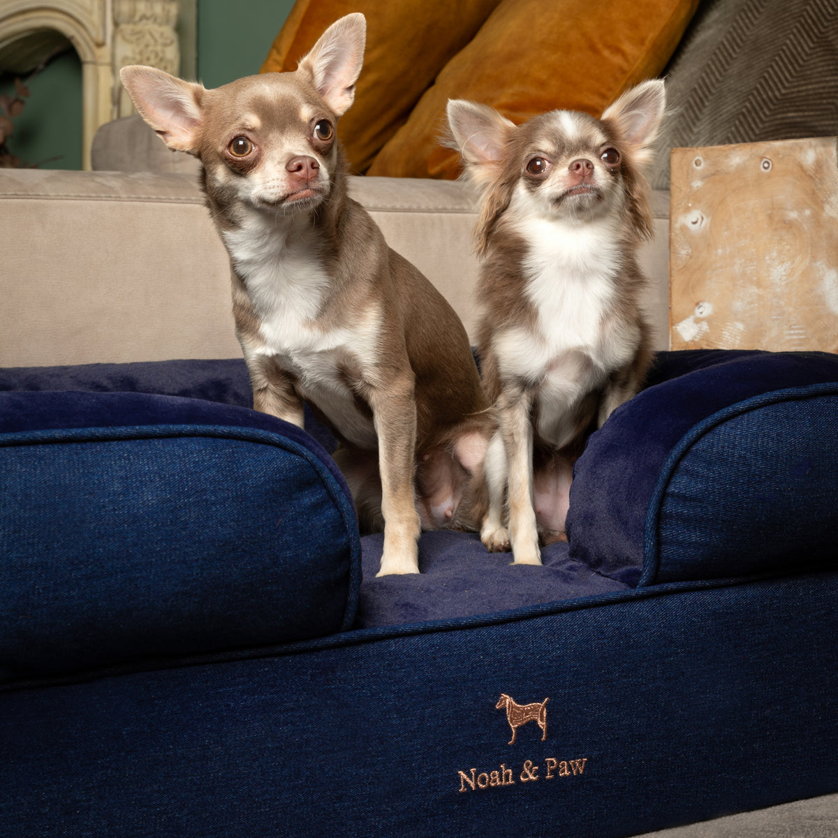 Noah & Paw orthopedic sofa dog bed in denim with memory foam and cooling gel, dark blue, size M (28 x 23 x 11 in)