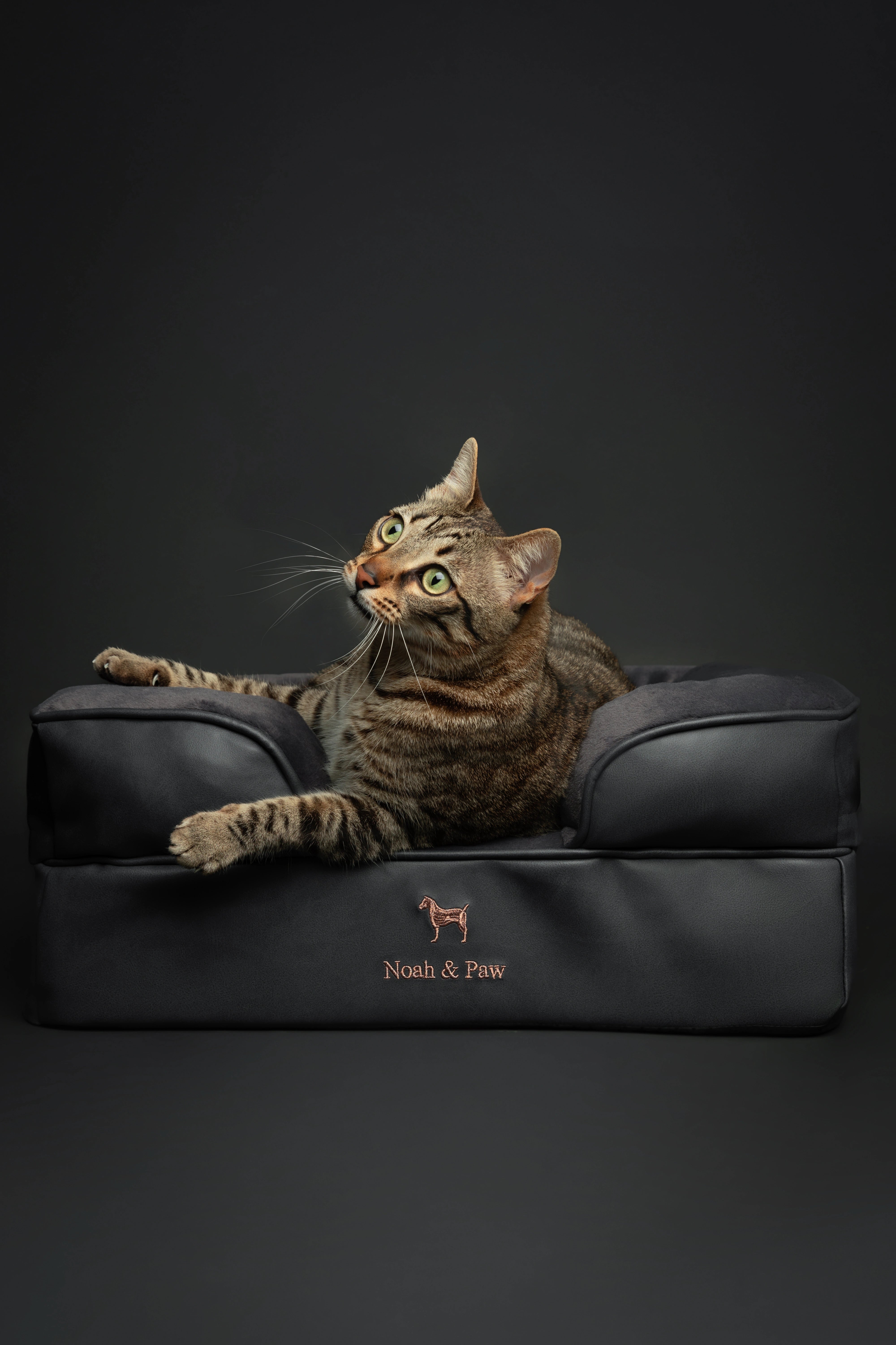 Orthopedic Faux Leather Pet Bed Sofa Style - Black - S