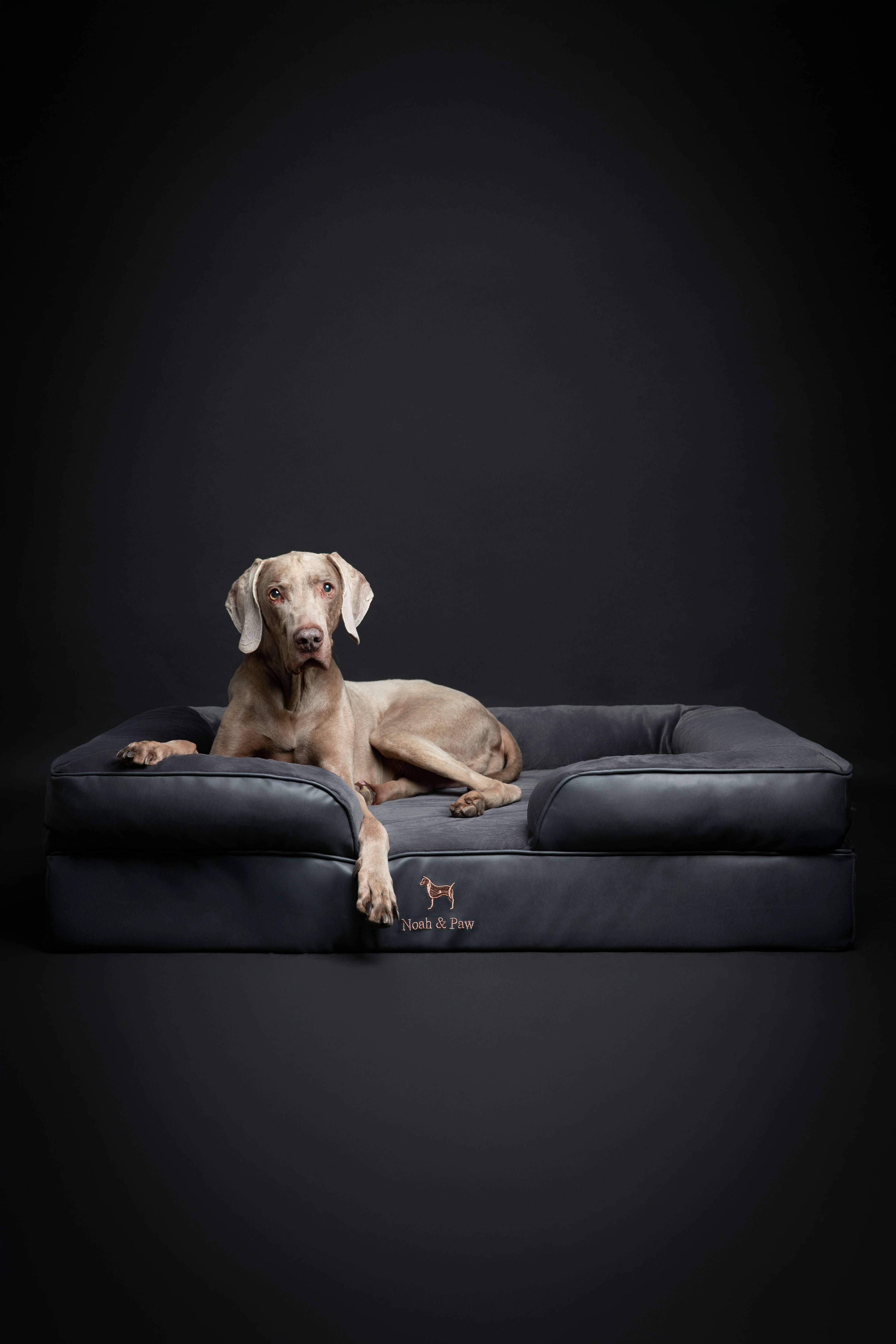Orthopedic Faux Leather Pet Bed Sofa Style - Black - XL