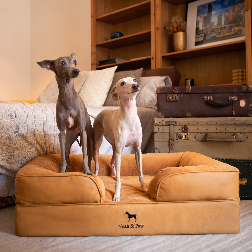 Noah & Paw orthopedic sofa dog bed in faux leather with memory foam and cooling gel, camel, size L (35 x 25 x 11 in)