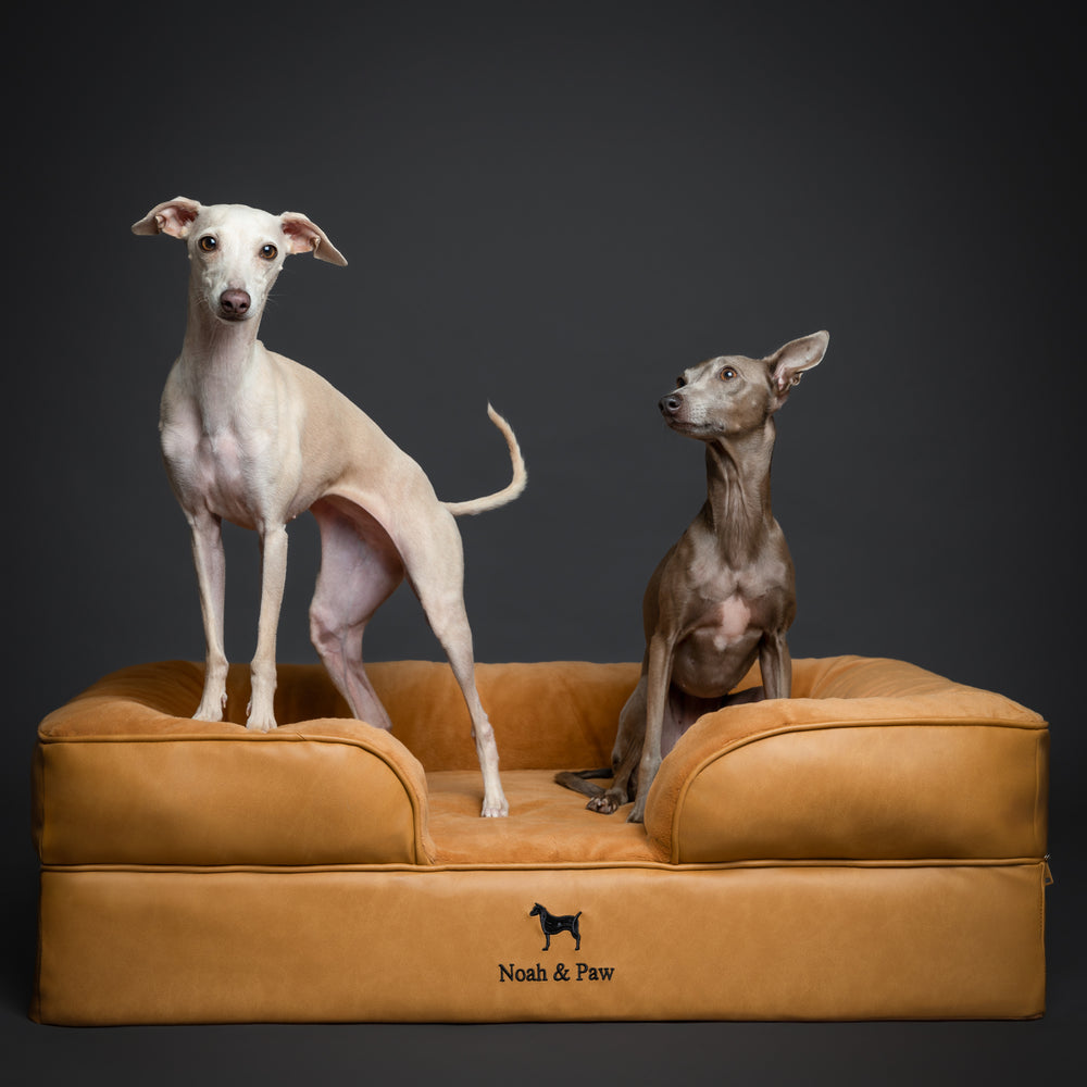 Faux Leather, Orthopedic Pet Bed, Eggshell Memory Foam, Infused with Cooling Gel, Sofa Style