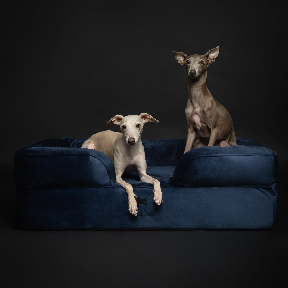 Noah & Paw orthopedic sofa dog bed in velvet with memory foam and cooling gel, navy blue, size L (35 x 25 x 11 in)