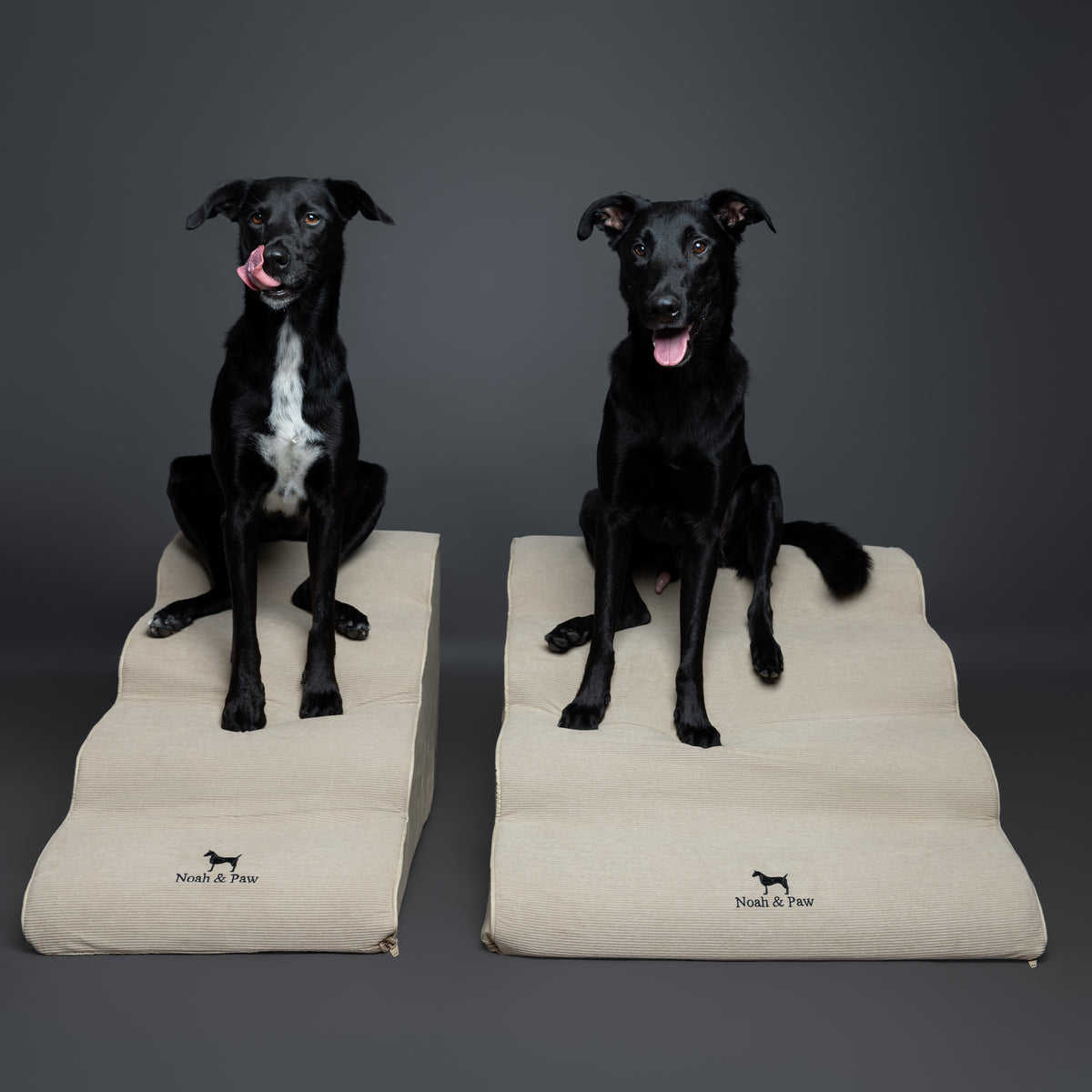 Noah & Paw 27-inch extra wide dog ramp stairs in faux leather, beige, 4 steps