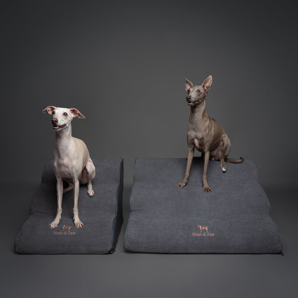 Noah & Paw dog ramp stairs for bed in faux leather, black, 3 steps
