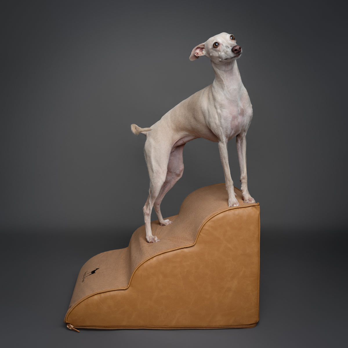 Noah & Paw dog ramp stairs for bed in faux leather, camel, 3 steps